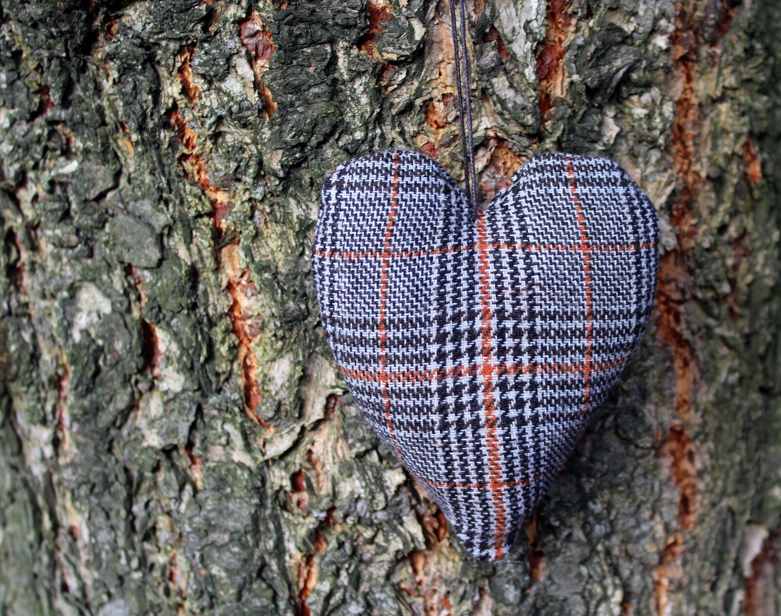 Canon EOS 1200D (EOS Rebel T5 / EOS Kiss X70 / EOS Hi) sample photo. Heart, the bark, tree photography