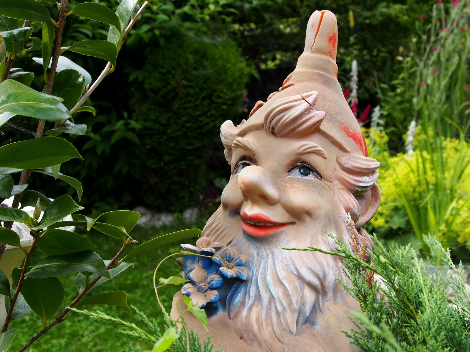 Olympus OM-D E-M5 sample photo. Garden gnome, garden, dwarf photography