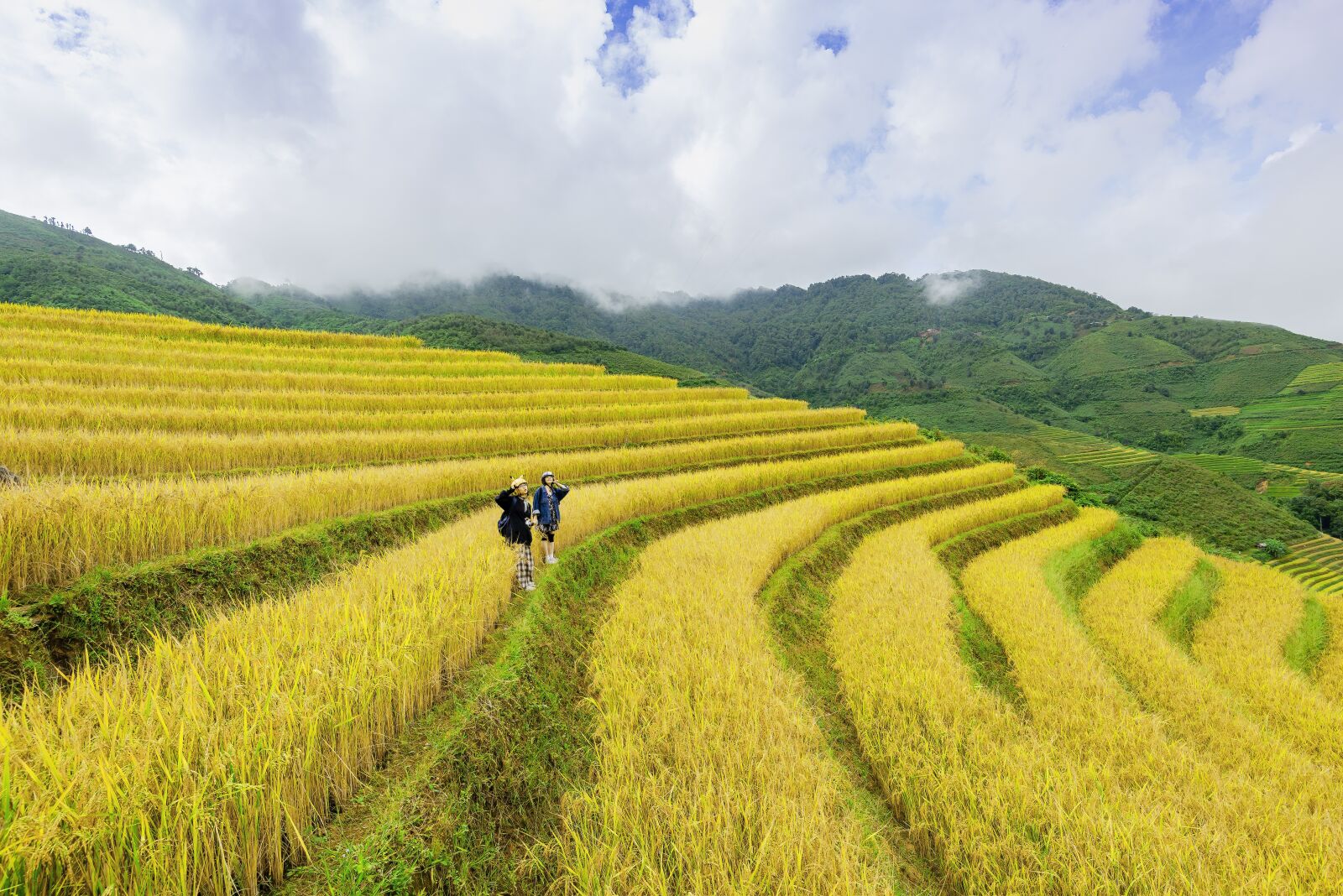Nikon D750 sample photo. Terraces, rice terraces, rice photography