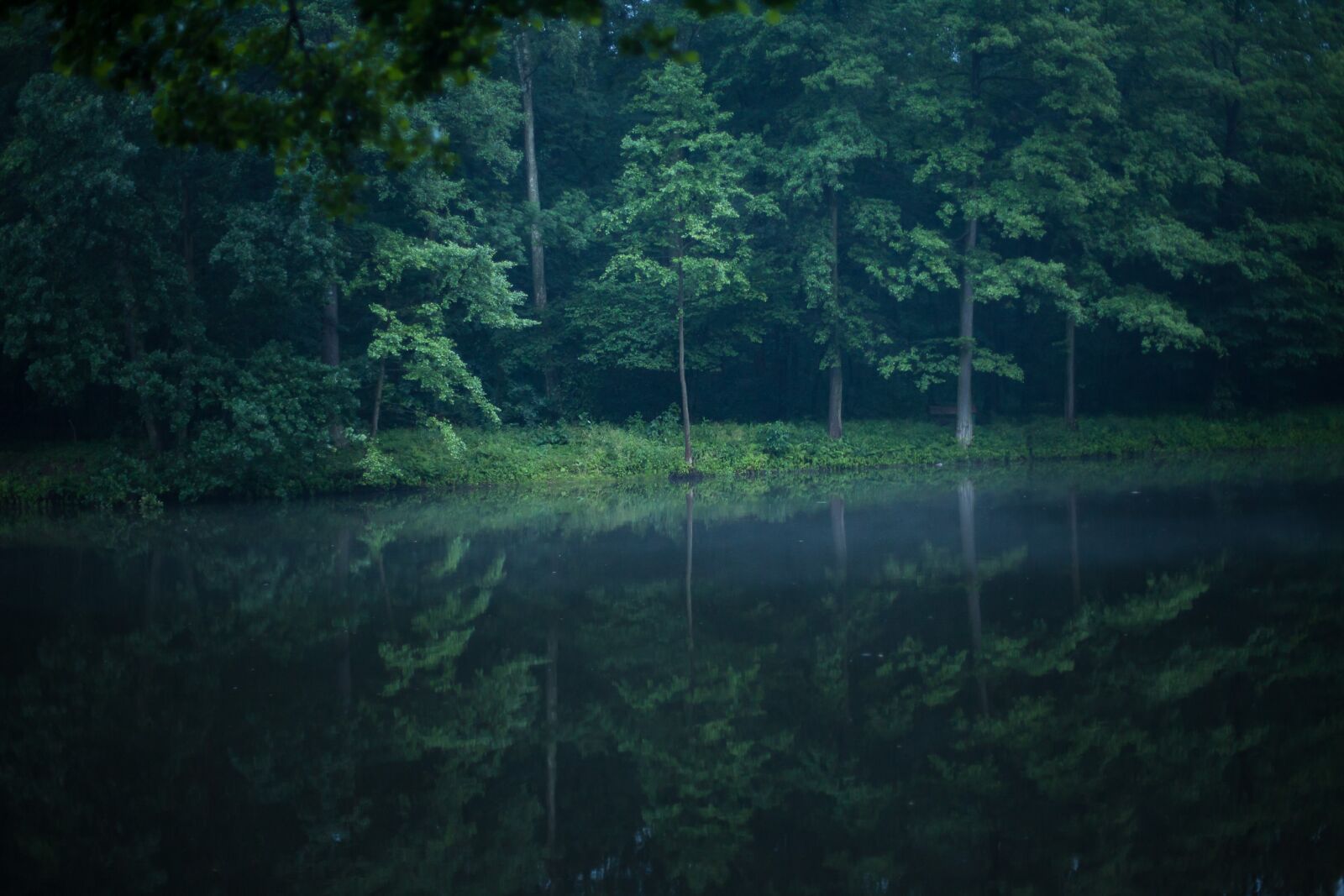Canon EOS 5D Mark II sample photo. Forest, lake, water photography