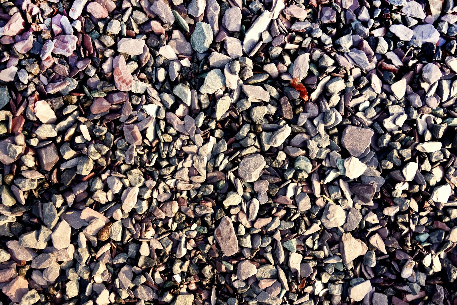 Sony Cyber-shot DSC-RX100 sample photo. Pebble, stone, rock photography