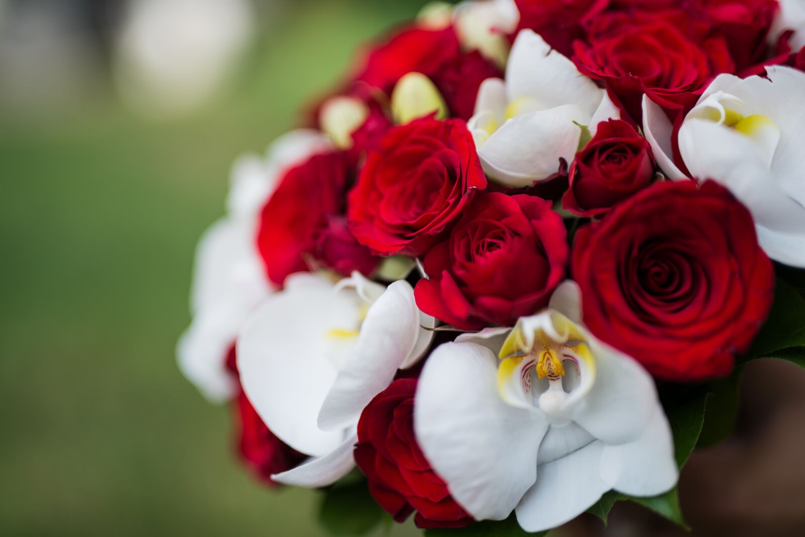 Nikon D610 sample photo. Flower, wedding, red photography