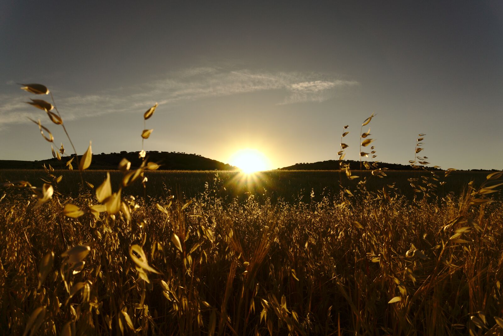 Sony a6000 sample photo. Sunset, sun, landscape photography