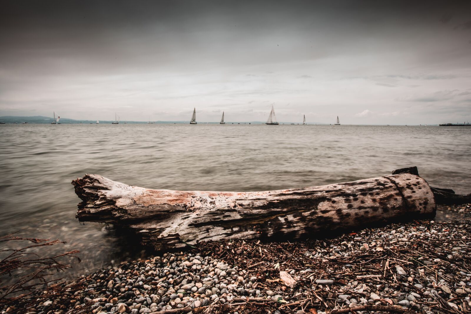 Nikon D810 sample photo. Lake constance, tree, water photography
