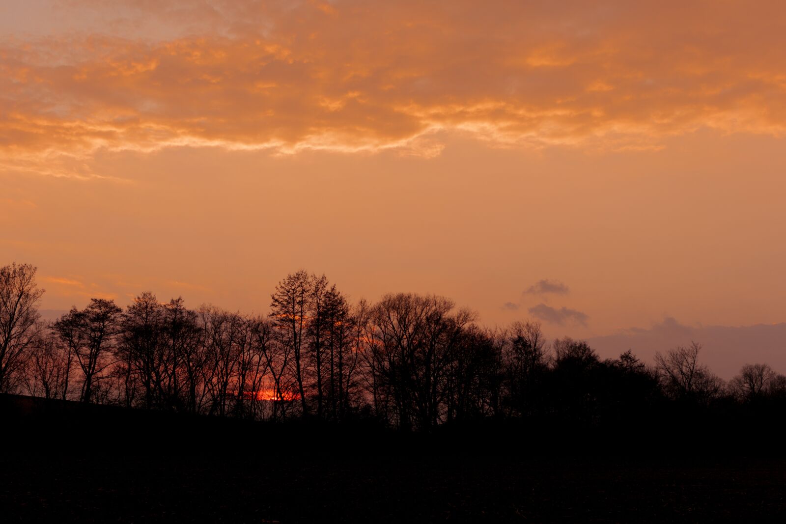 Nikon D5500 sample photo. Sunset, zotmenie, the sky photography