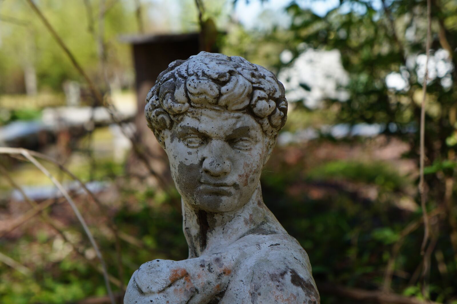 Sony Alpha a3000 + Sony E 18-55mm F3.5-5.6 OSS sample photo. Statue, sculpture, garden photography