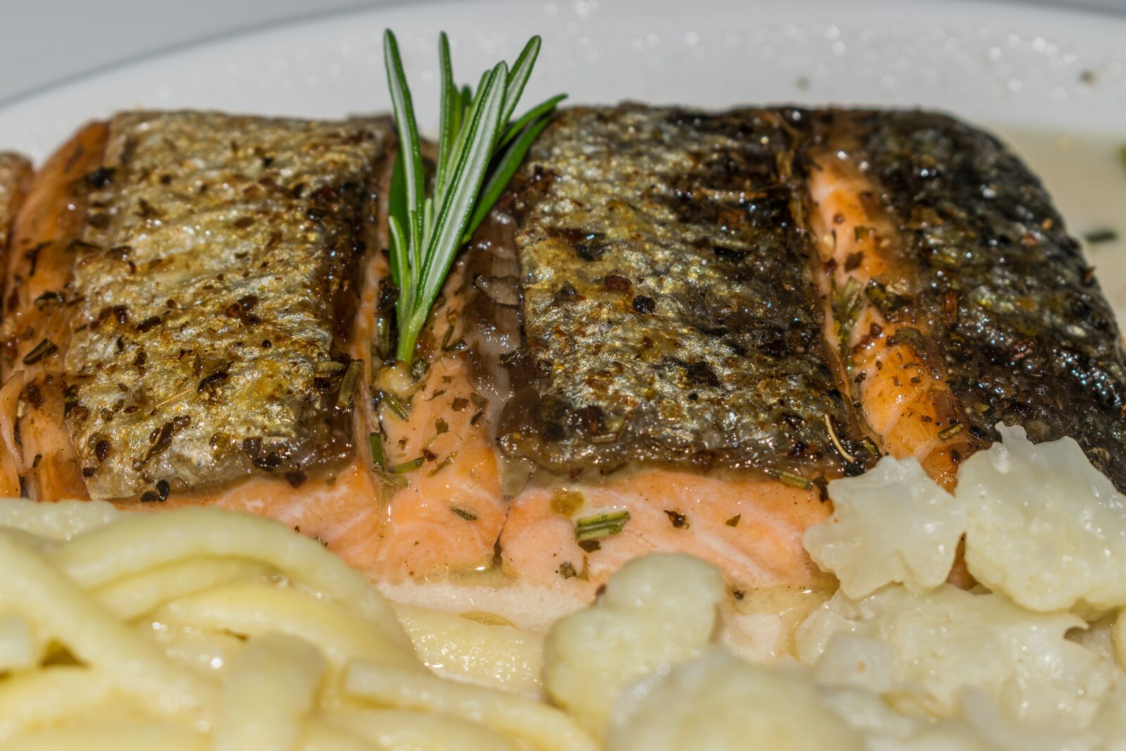 Nikon D5300 sample photo. Salmon, salmon fillet, skin photography