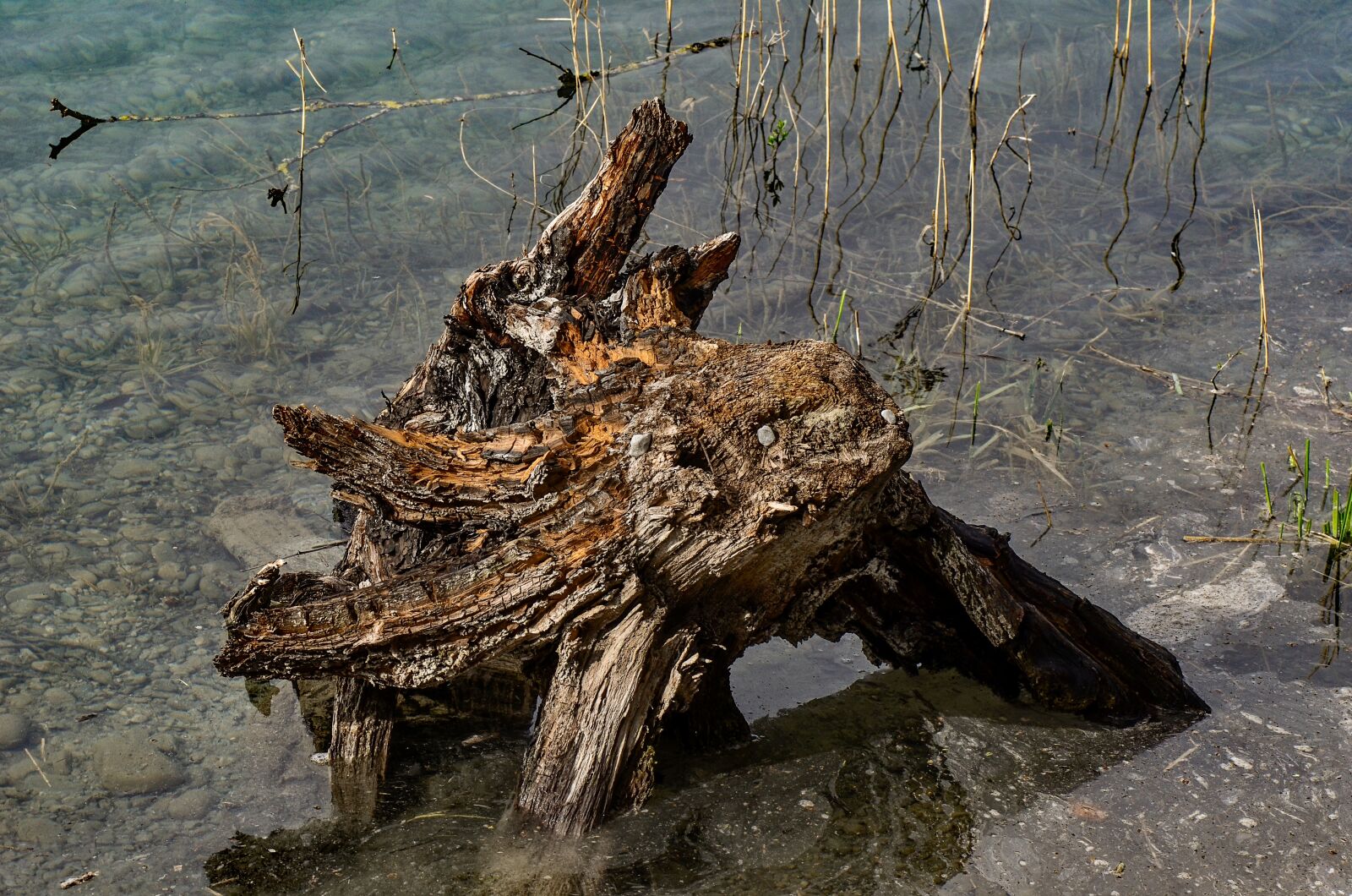 Nikon D7000 sample photo. Wood, lake, landscape photography