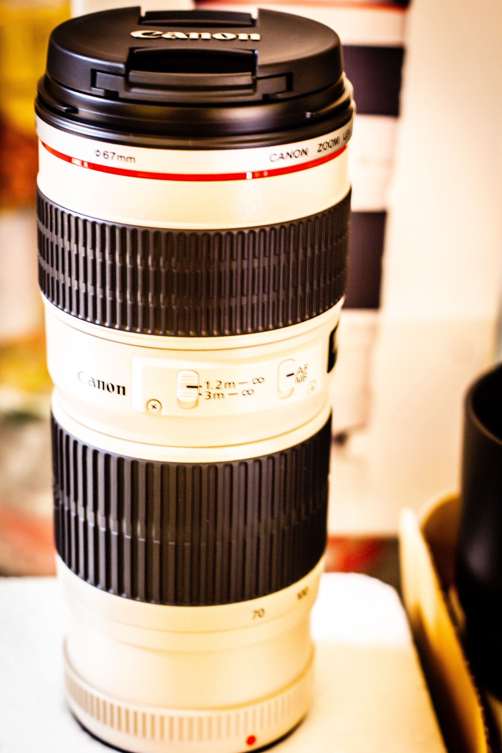 Canon EOS 700D (EOS Rebel T5i / EOS Kiss X7i) + Canon EF 50mm F1.8 STM sample photo. Lens, canon, the camera photography