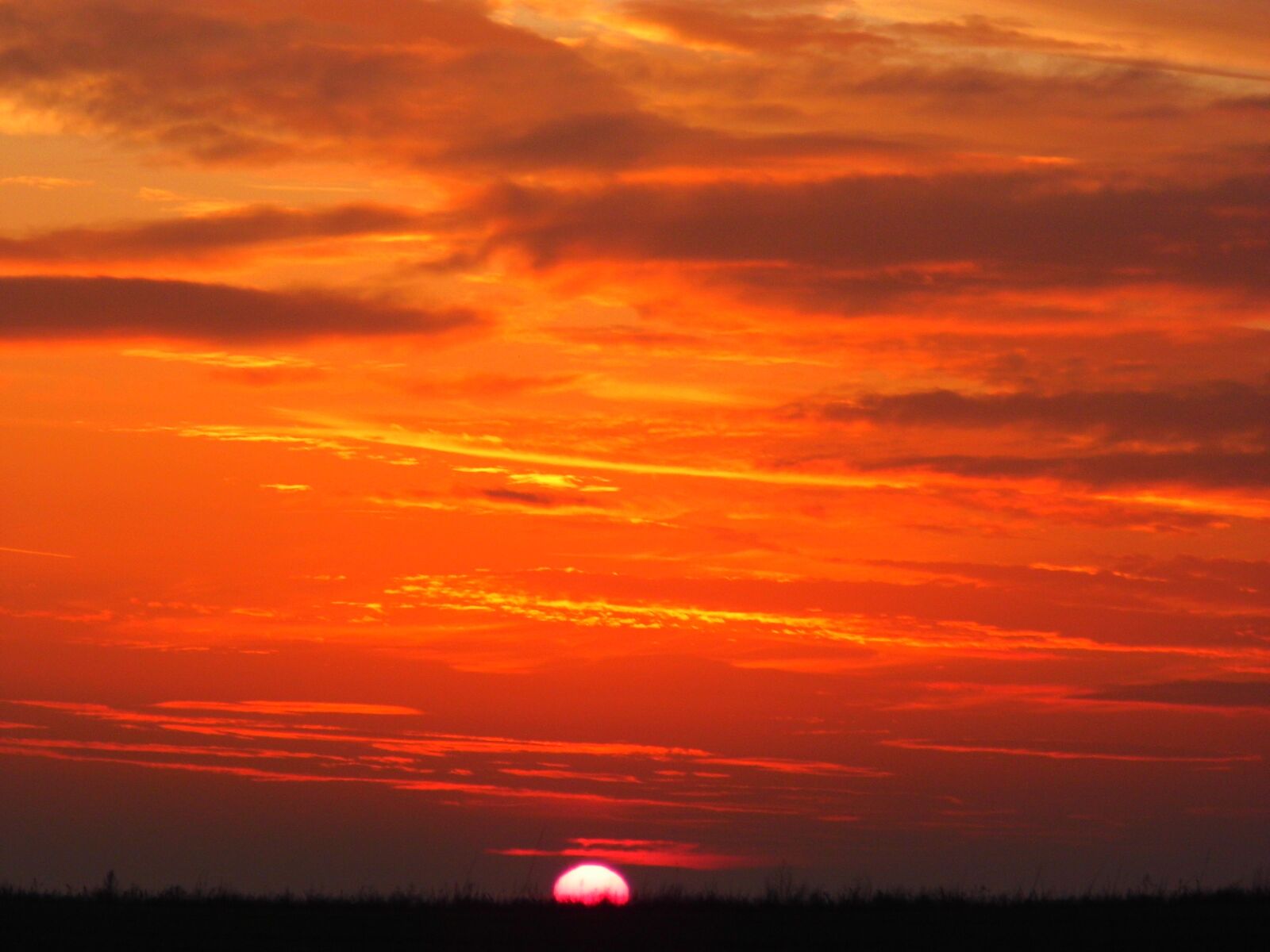 Benq GH600 sample photo. Sunset, glow of sunset photography