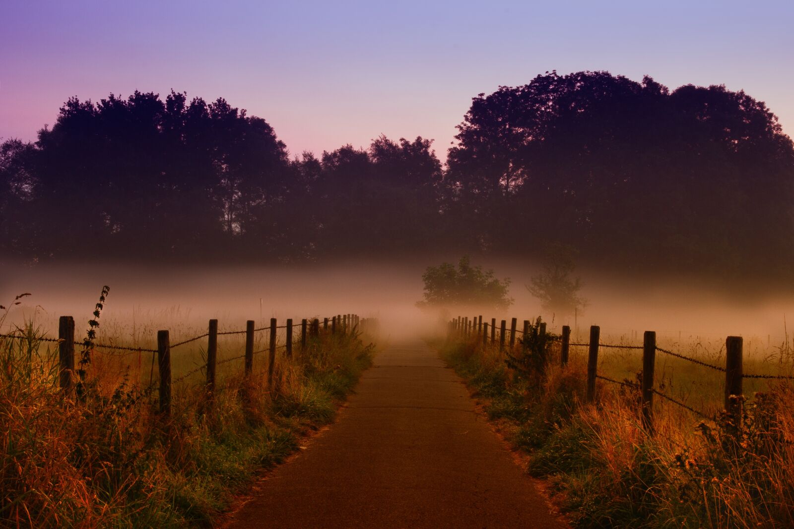 Canon EOS 60D sample photo. Dawn, haze, ground fog photography