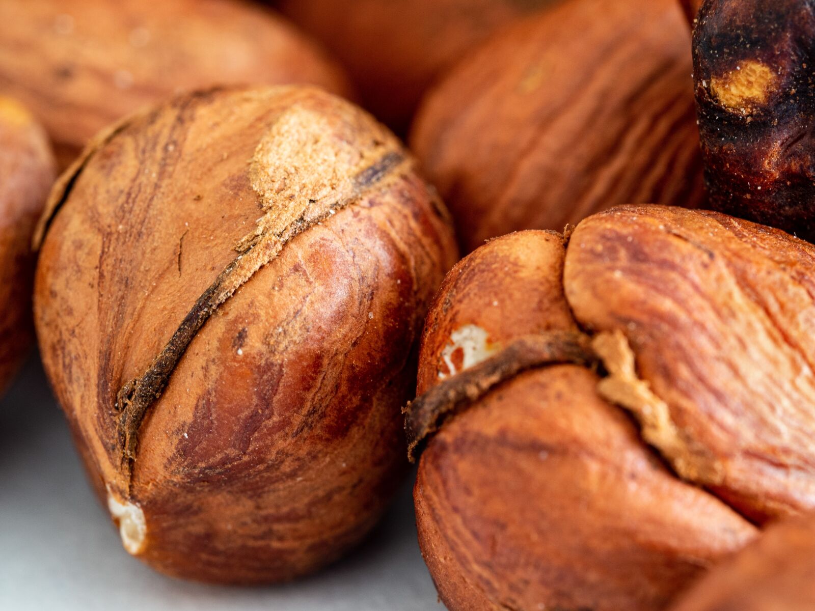 Olympus OM-D E-M10 III sample photo. Walnut, hazel, fetus photography