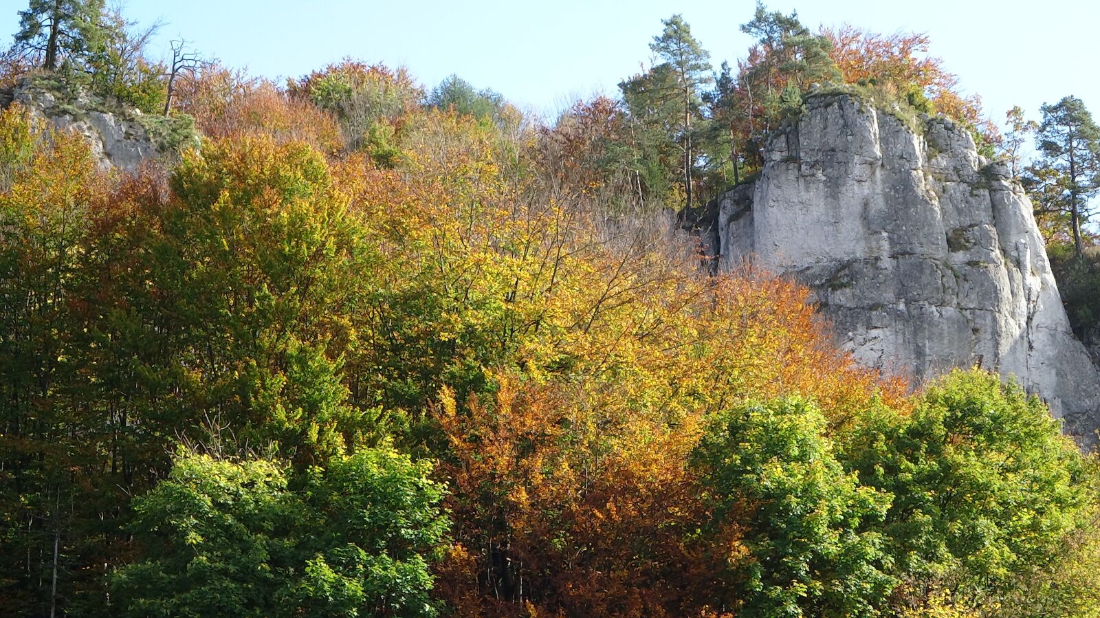 Sony Cyber-shot DSC-WX300 sample photo. Paternity national park, poland photography