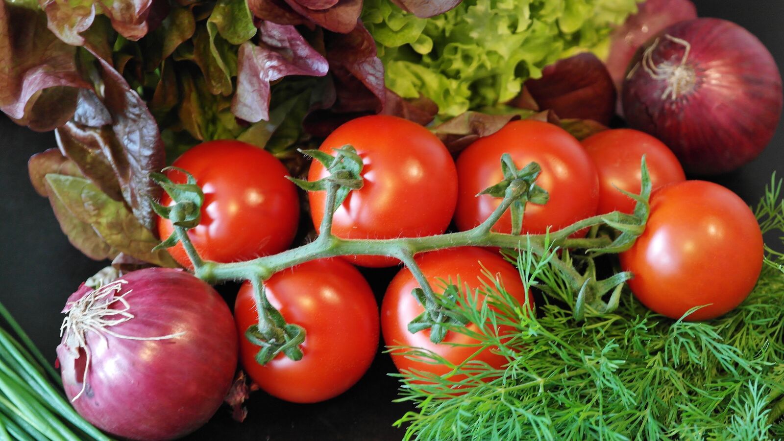 Samsung NX20 sample photo. Salad, tomatoes, onion photography