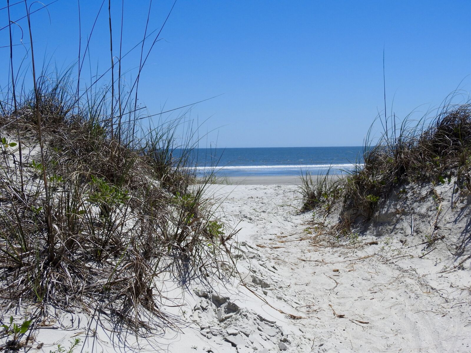 Nikon Coolpix P900 sample photo. Beaches, north carolina, ocean photography