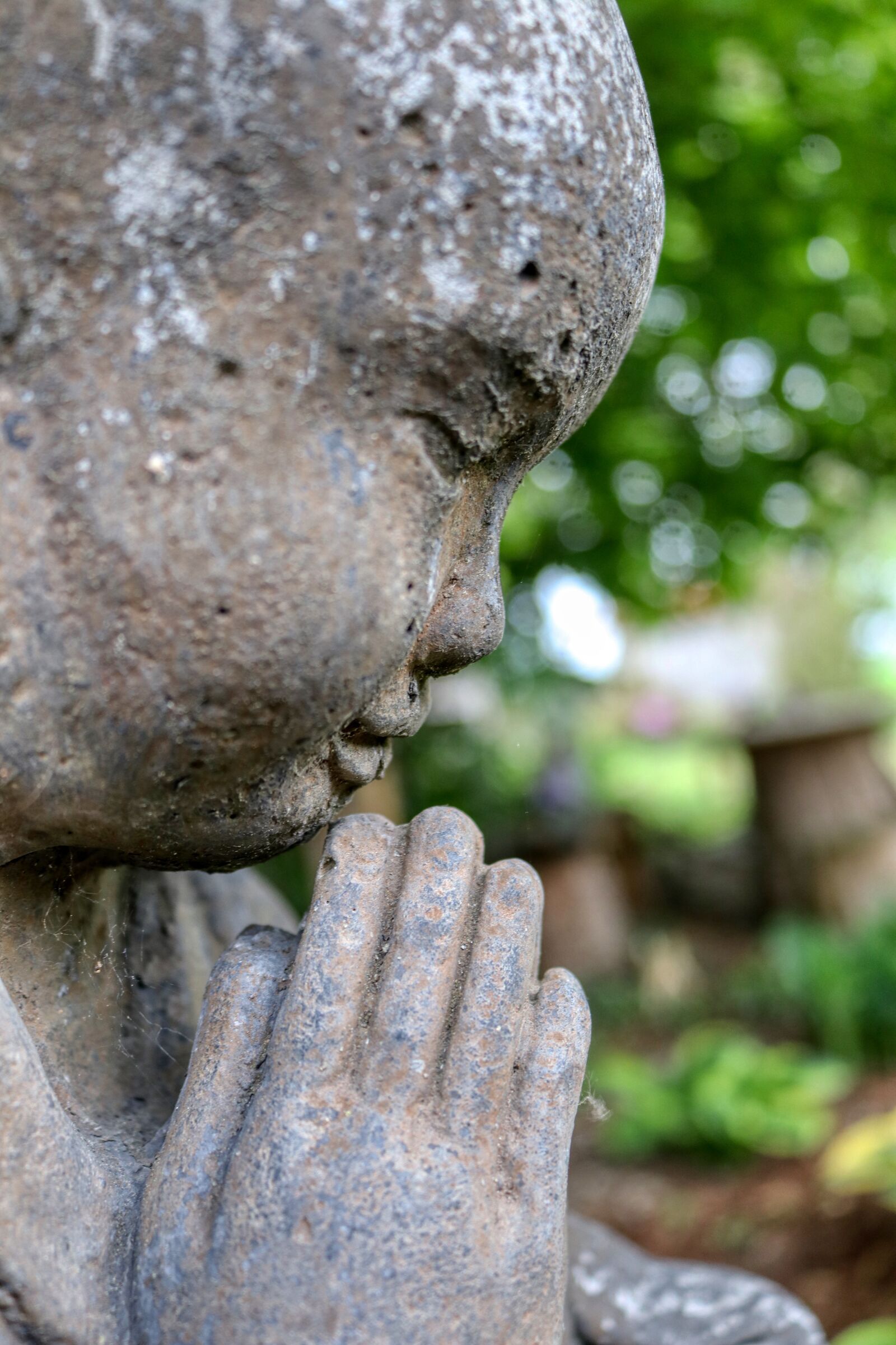 Canon EOS 80D sample photo. Buddha, mediation, rest photography