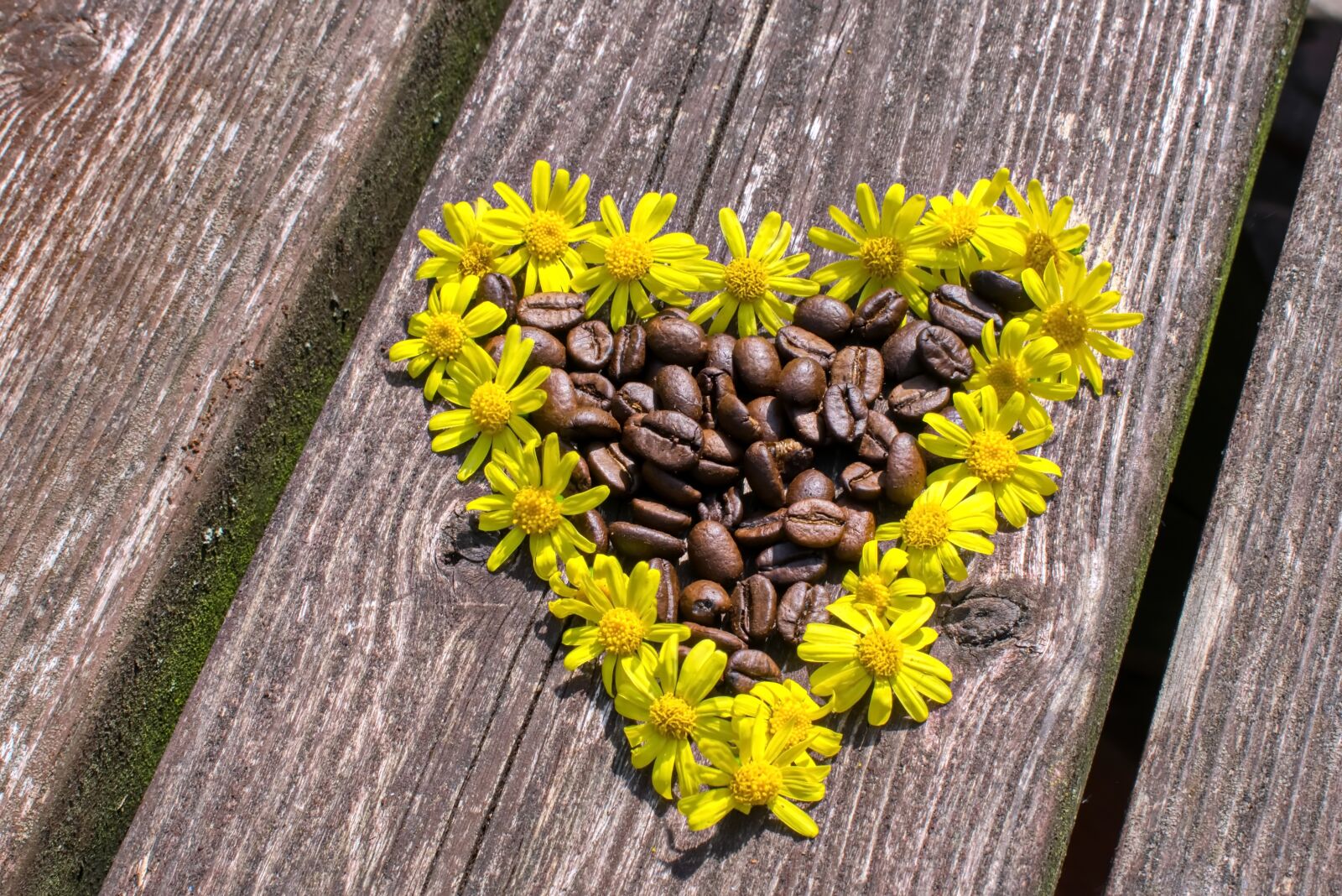 Nikon D3300 sample photo. Flower heart, coffee, coffee photography