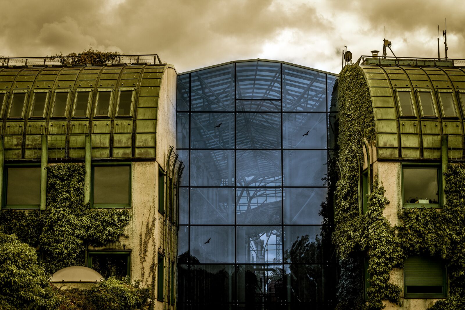A Series Lens sample photo. Architecture, glass wall, ivy photography