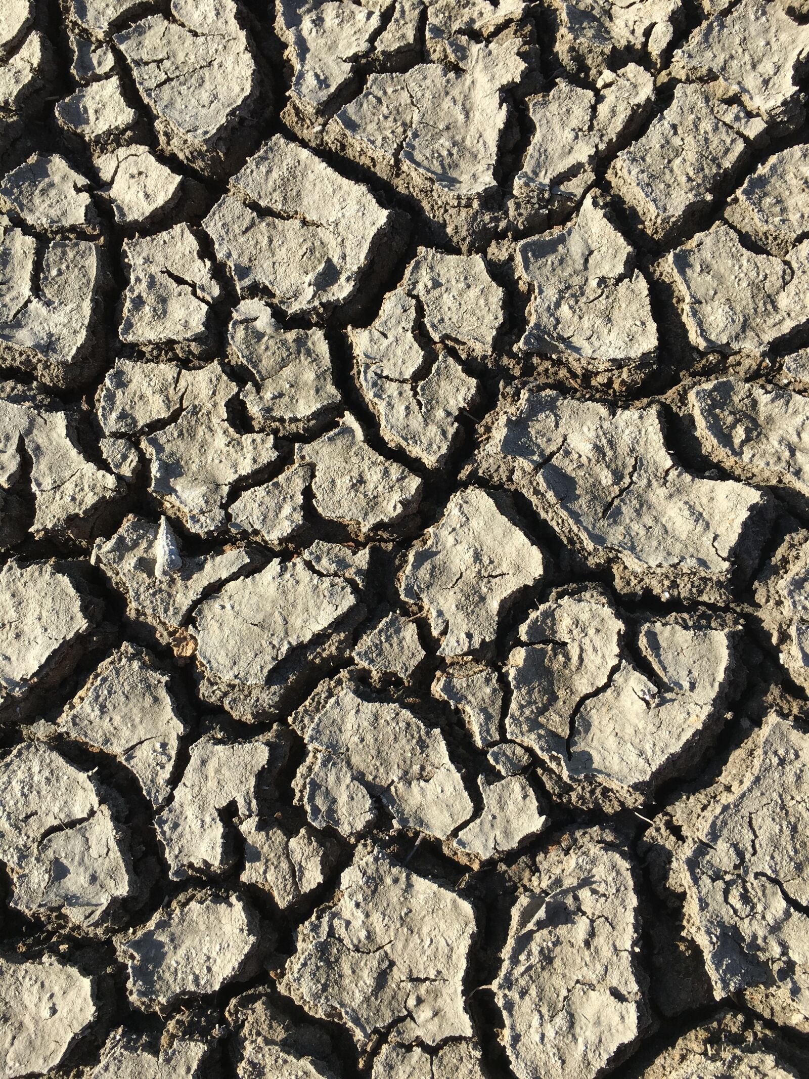 Apple iPhone 6s sample photo. Pavement, mud, desert photography