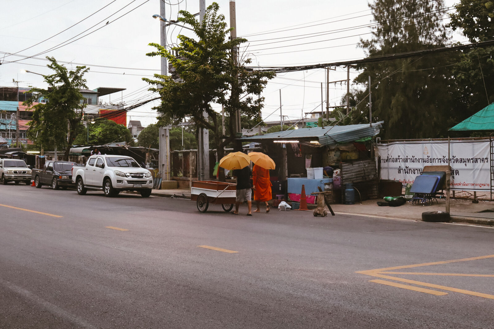Canon EOS RP sample photo