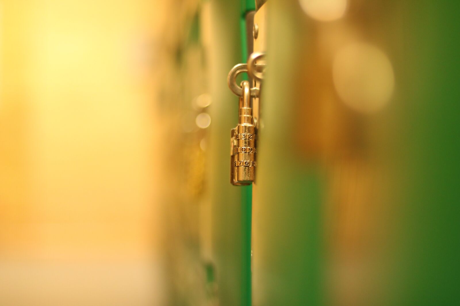 Canon EOS 750D (EOS Rebel T6i / EOS Kiss X8i) sample photo. Lock, locker, security photography