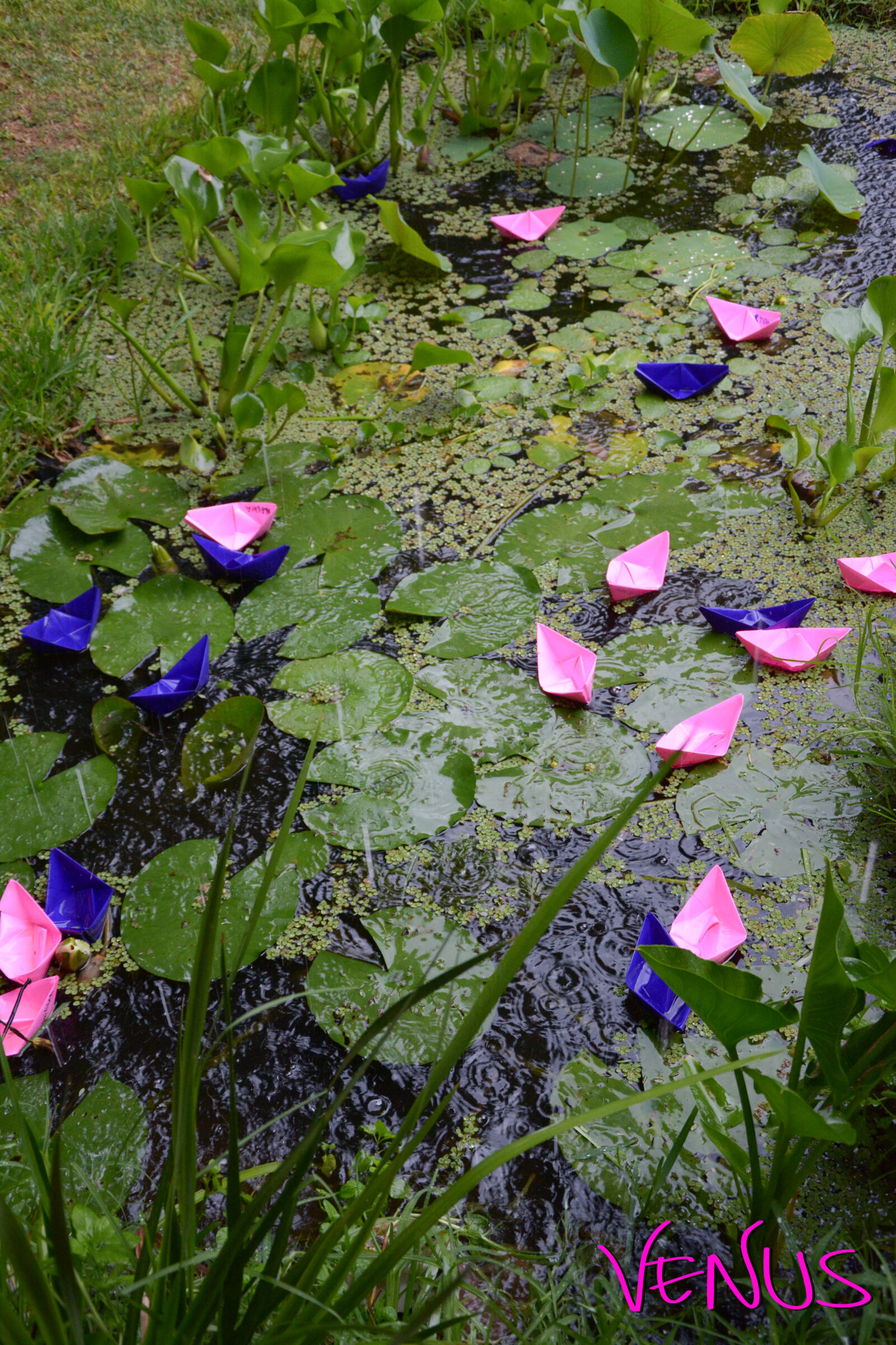Nikon D7100 sample photo