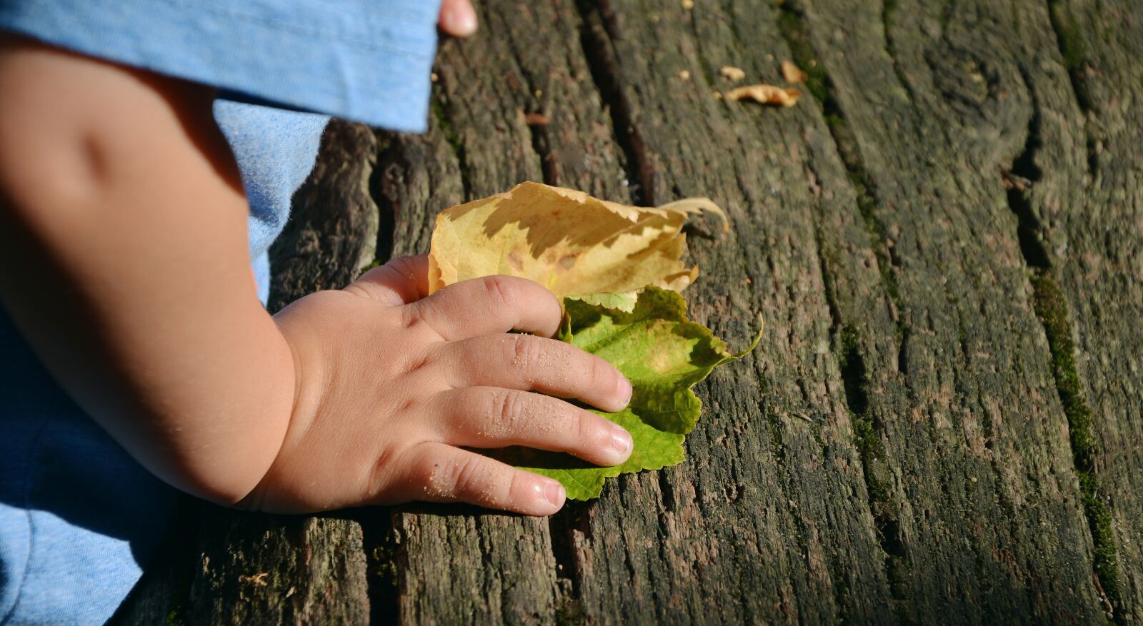 Nikon D5200 sample photo. Child's hand, hand, access photography