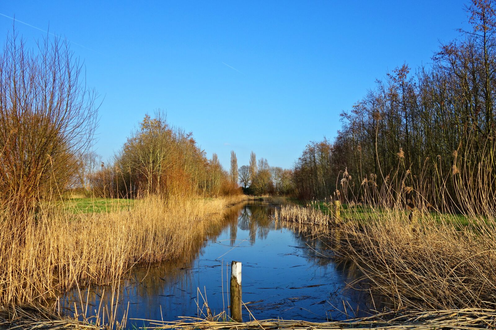 Sony Cyber-shot DSC-RX100 sample photo. Creek, water, waterway photography