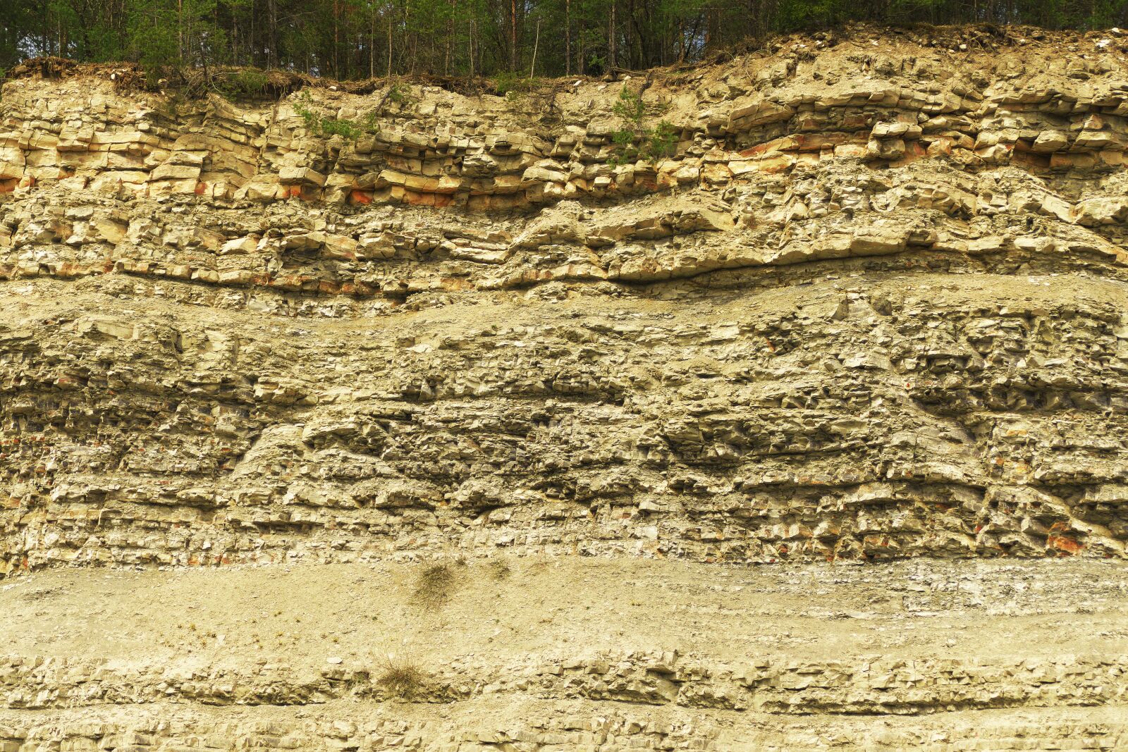 Panasonic Lumix DMC-FZ1000 sample photo. Quarry, abandoned, limestone photography