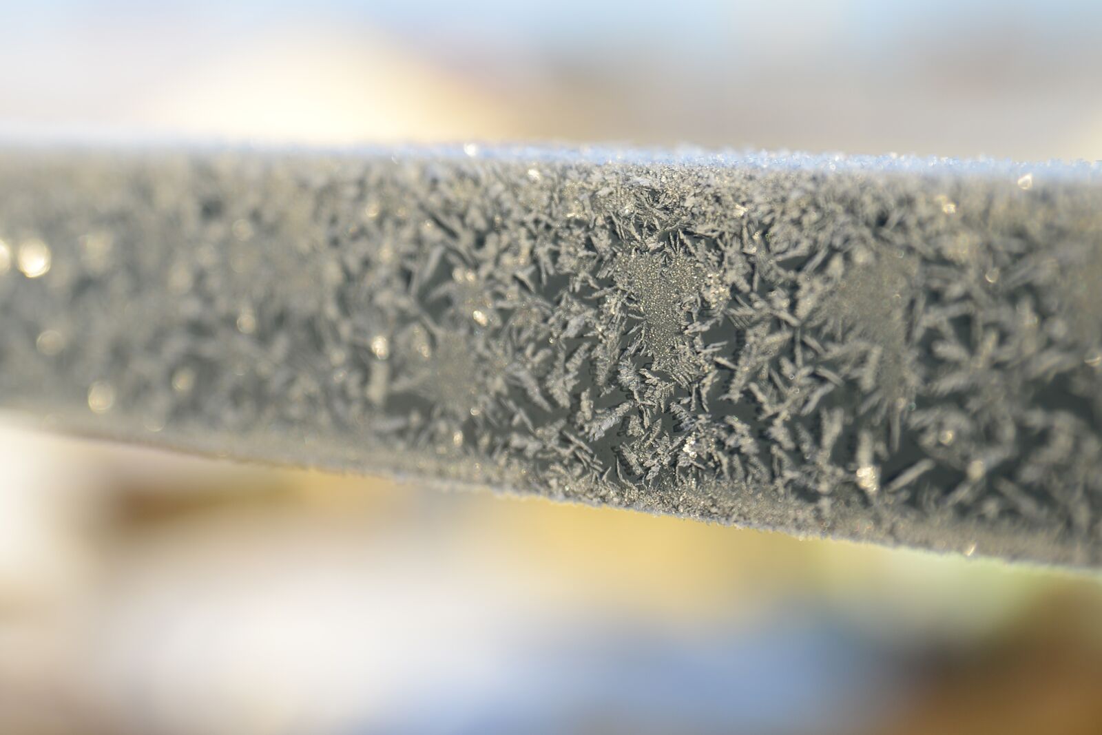 Nikon D610 sample photo. Ice, winter, crystal photography