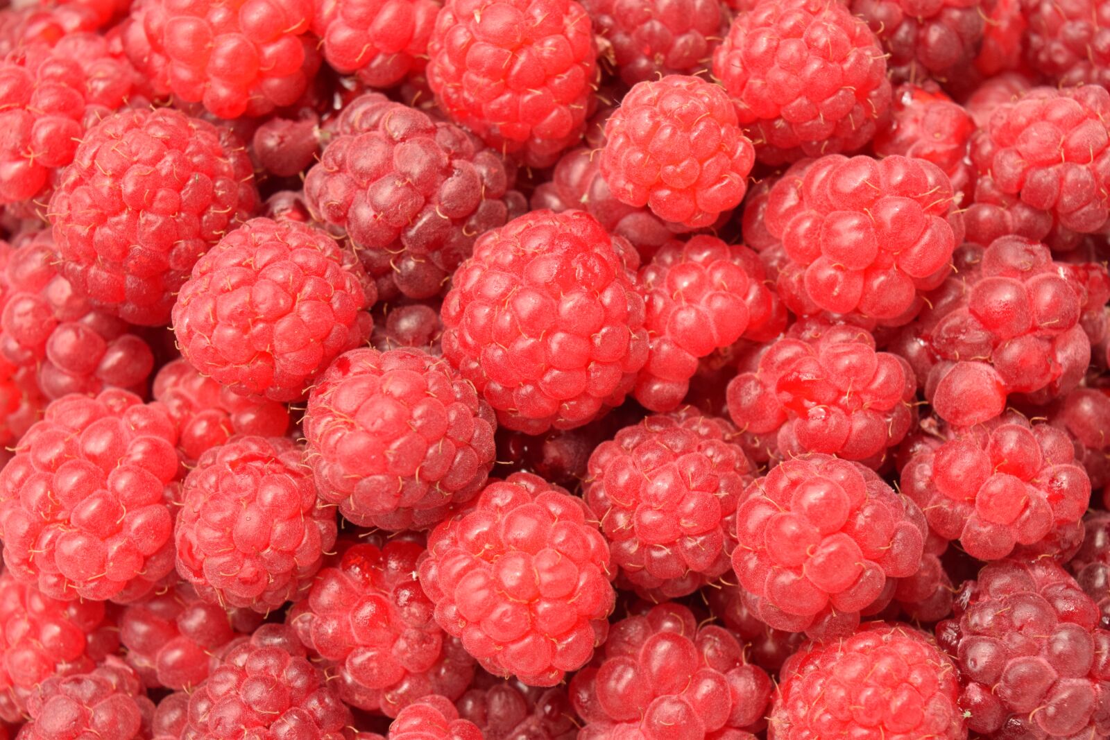 Nikon D3300 sample photo. Raspberries, close up, fruit photography