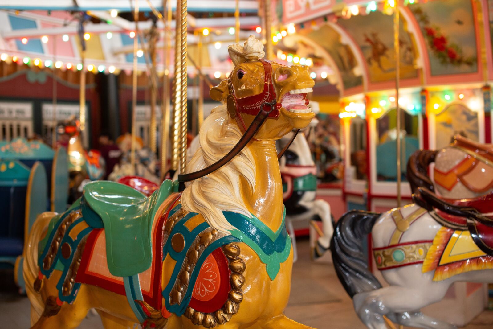Canon EOS 5D Mark III sample photo. Carousel, horse, amusement photography
