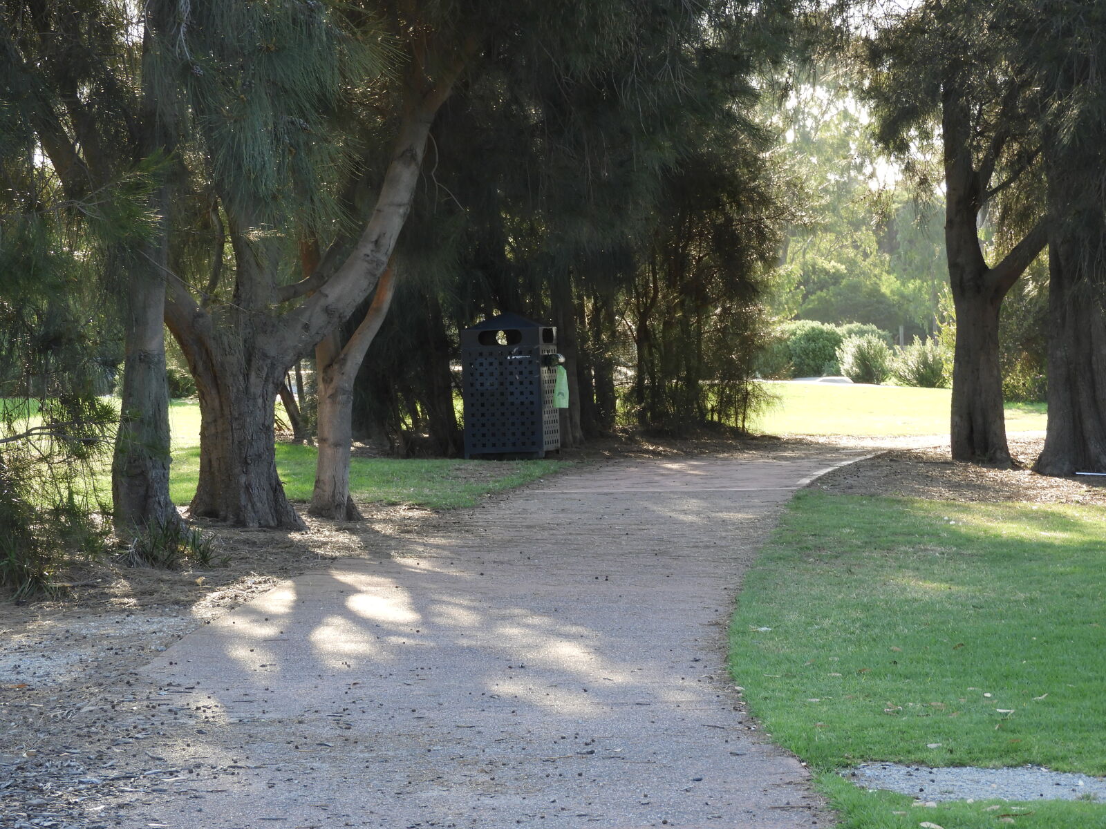 Nikon Coolpix B700 sample photo. Foot, path, open, park photography