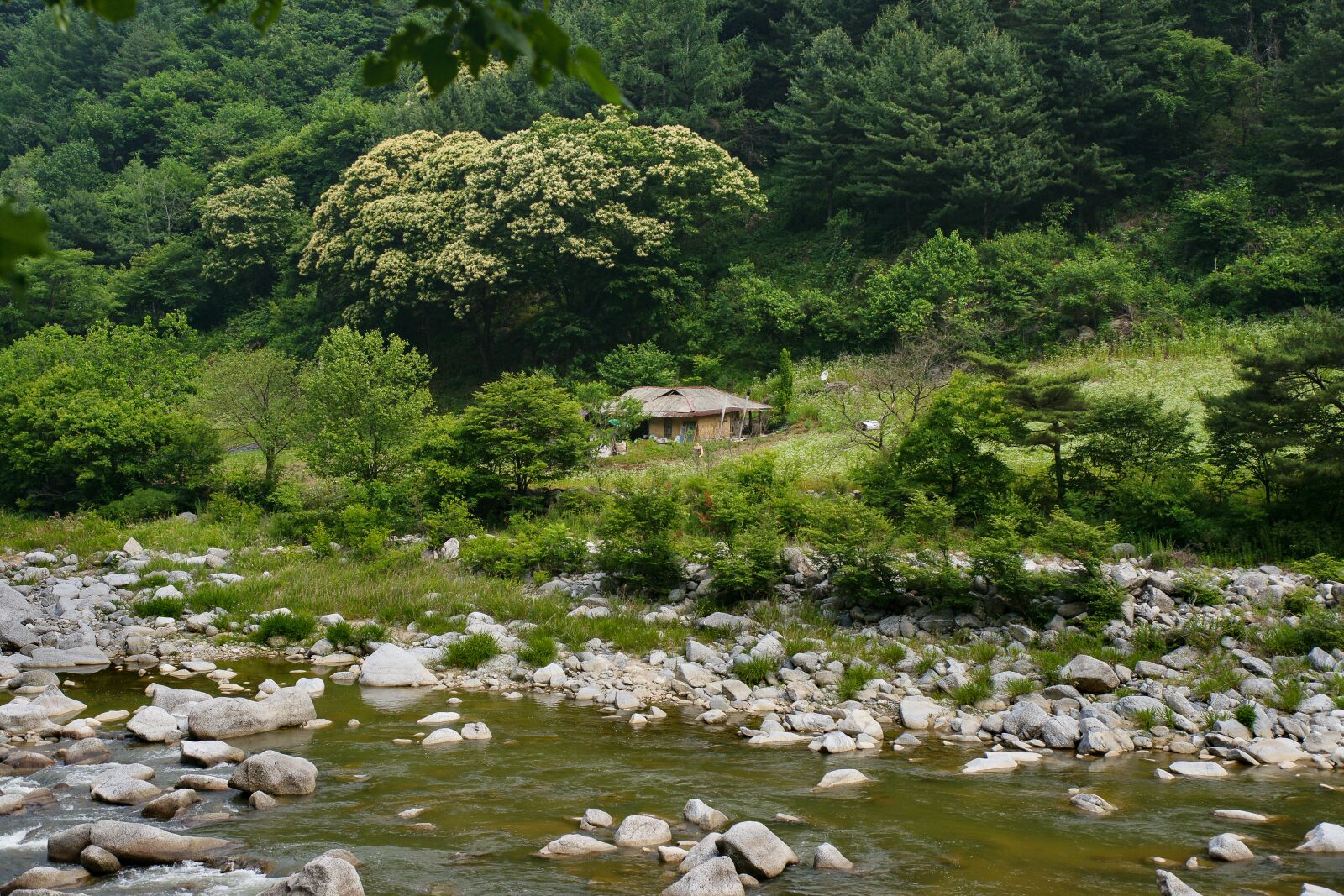 Sony Alpha DSLR-A850 sample photo. An isolated house, river photography