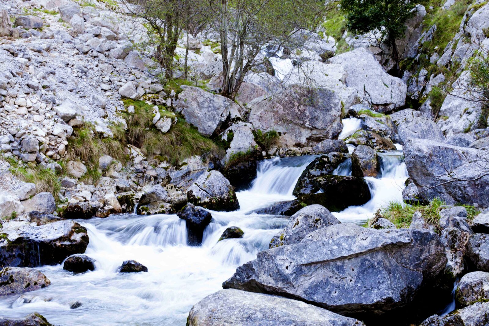 Canon EF 50mm F1.4 USM sample photo. Water, river, asturias photography