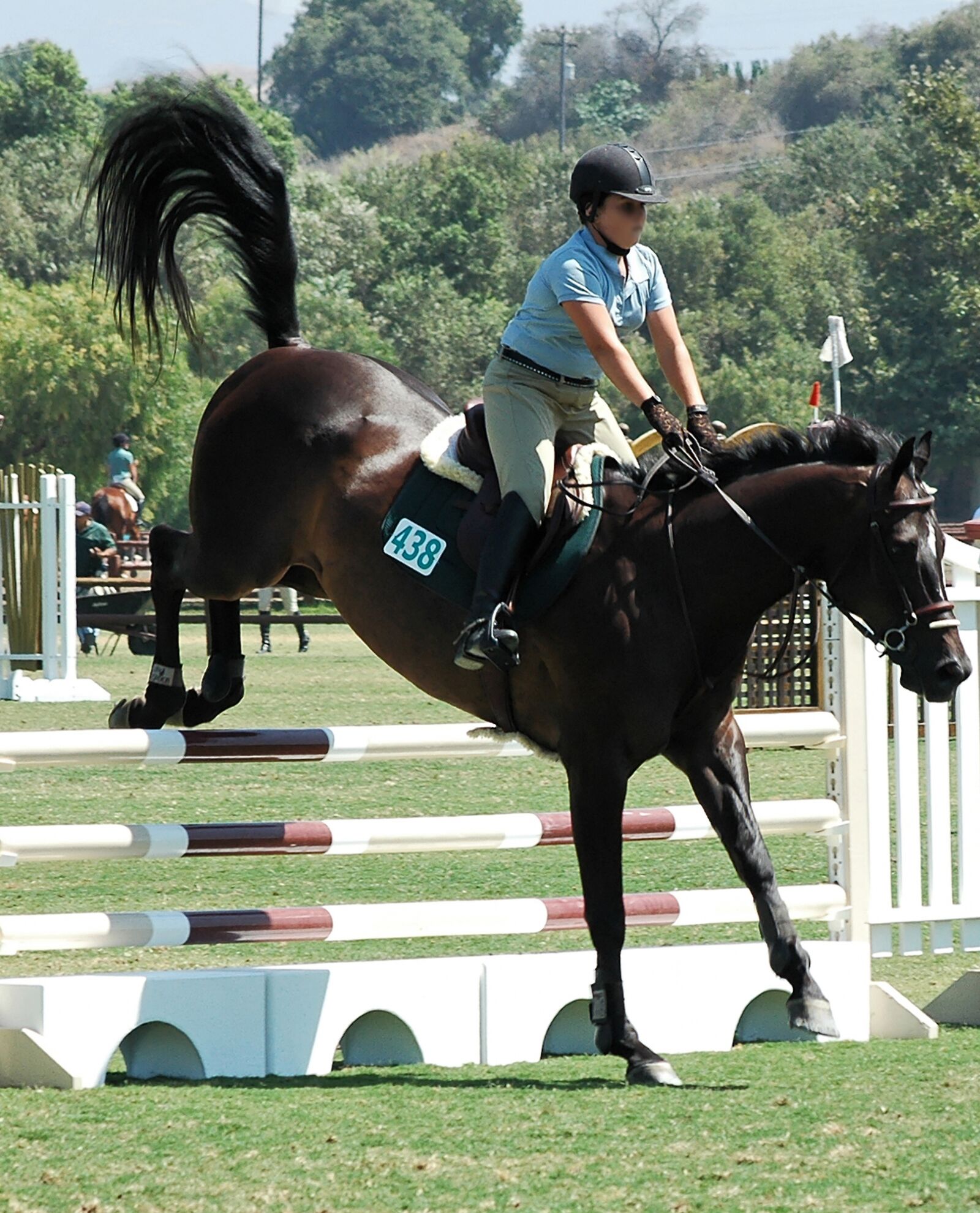 Nikon D70s sample photo. Horse, horses, equestrian photography