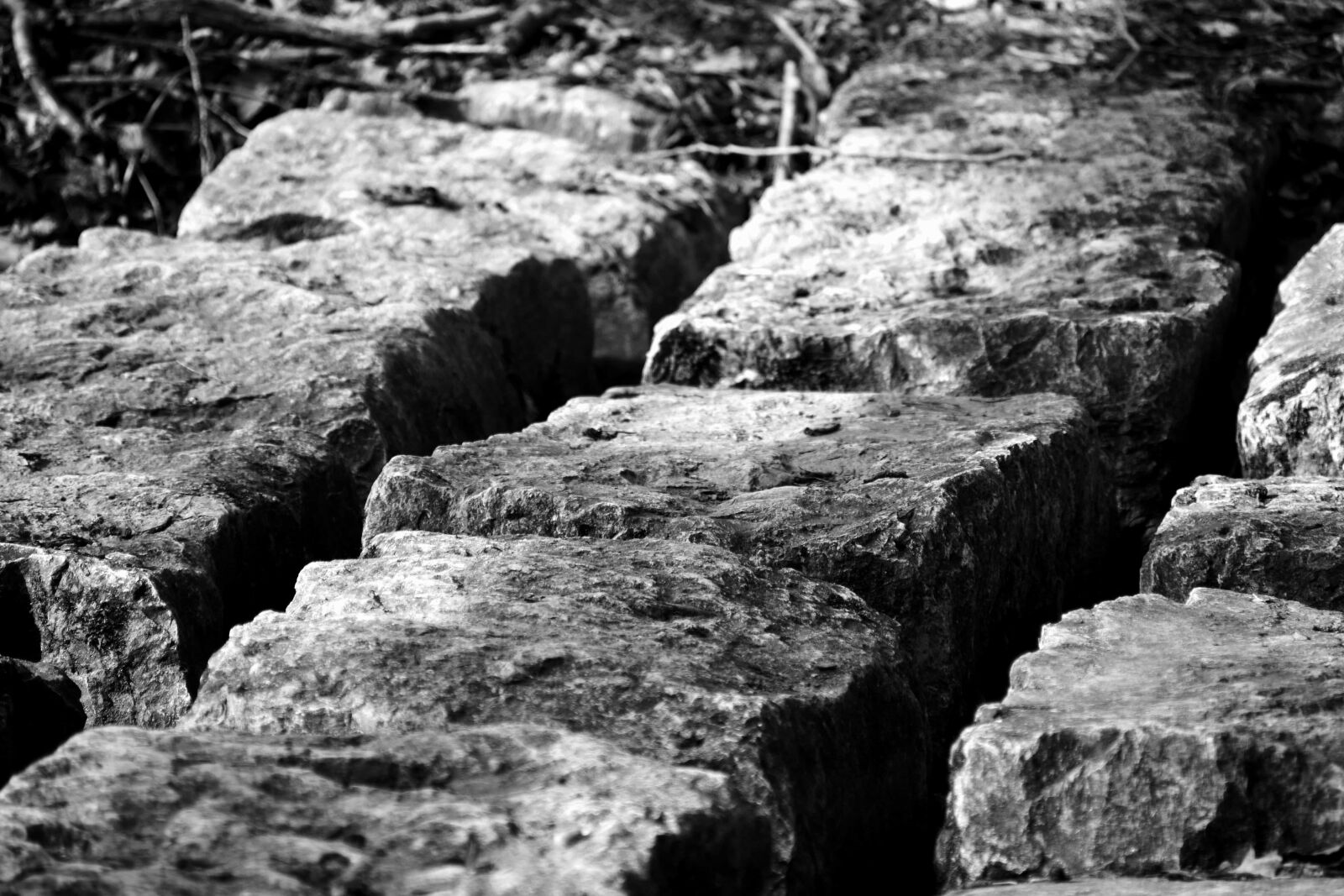 Nikon D3300 sample photo. Stone, structure, nature, monochrome photography
