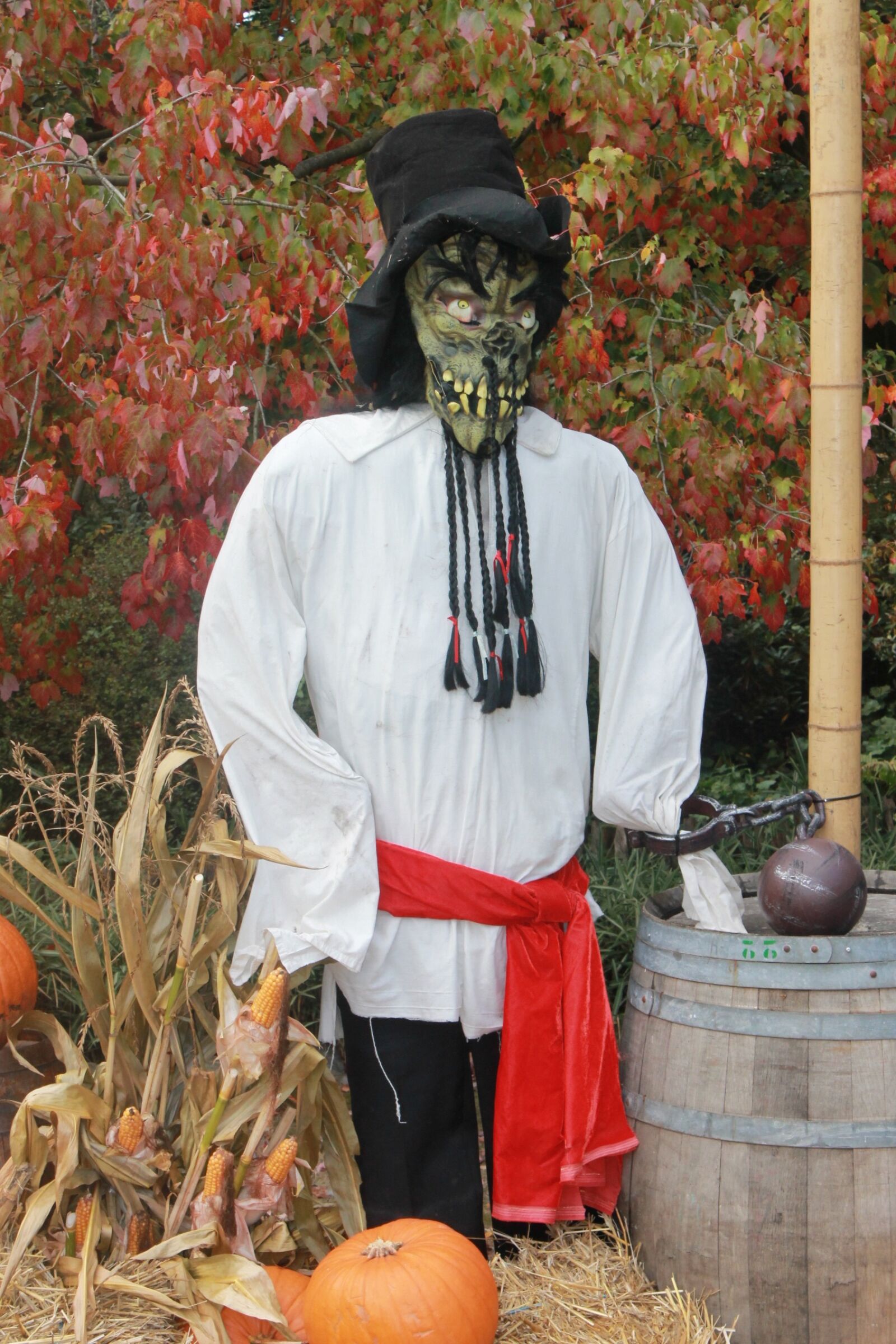 Canon EOS 1100D (EOS Rebel T3 / EOS Kiss X50) sample photo. Halloween, decoration, pumpkins photography
