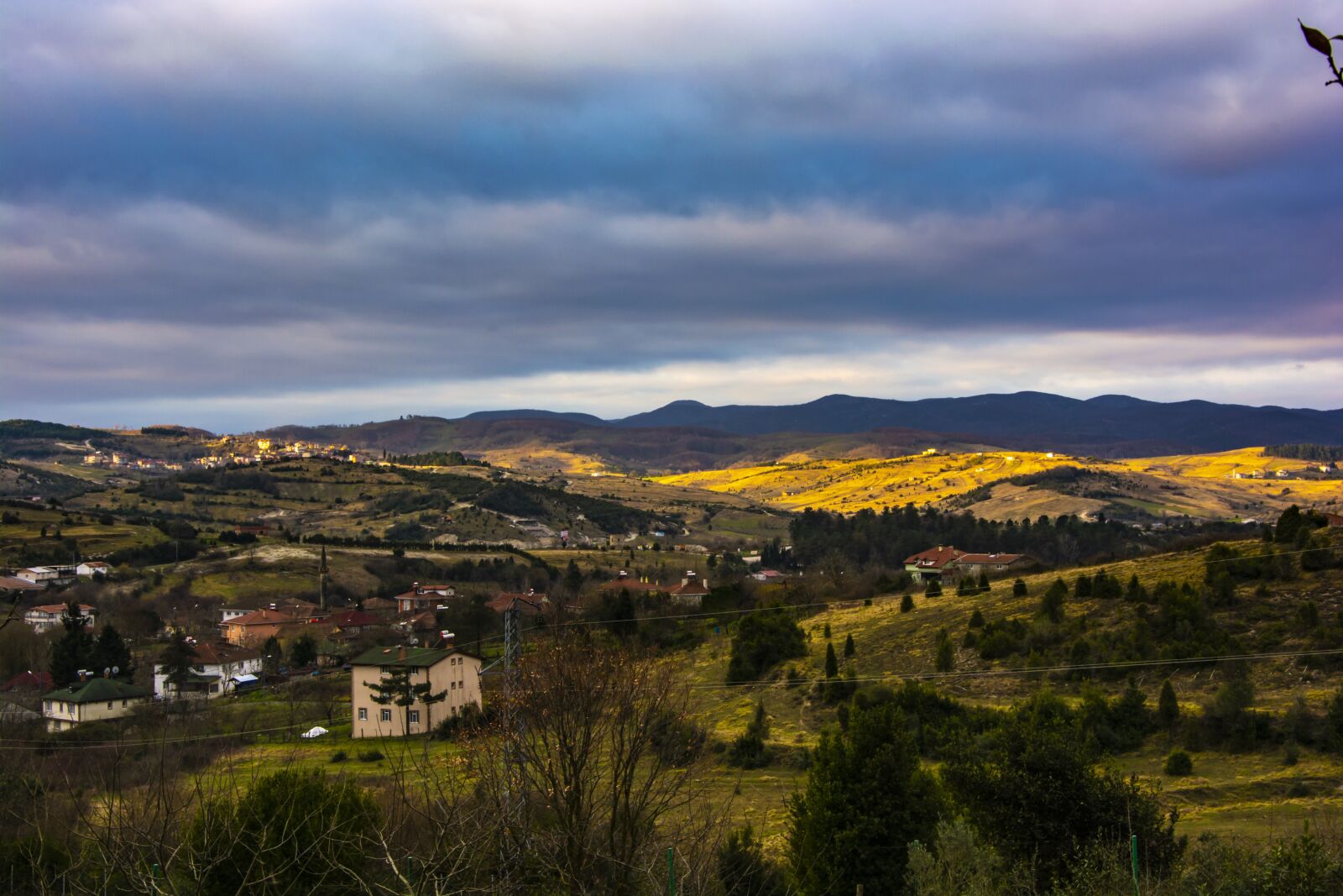 Nikon D5200 sample photo. Landscape, nature, forest photography