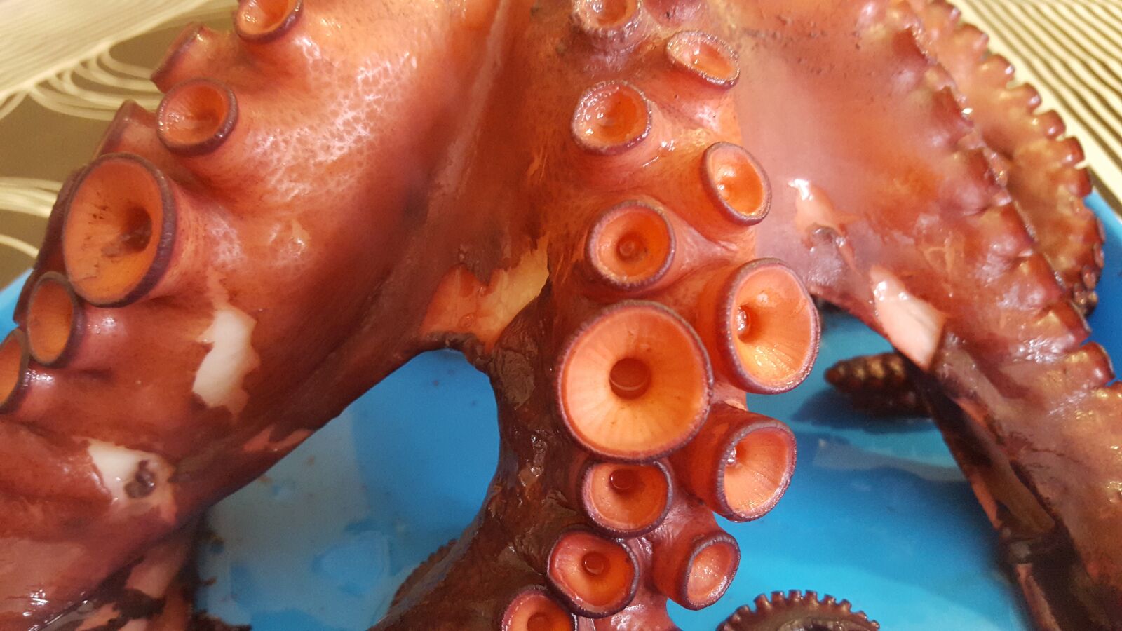 Samsung GALAXY S6 edge sample photo. Octopus, galicia photography