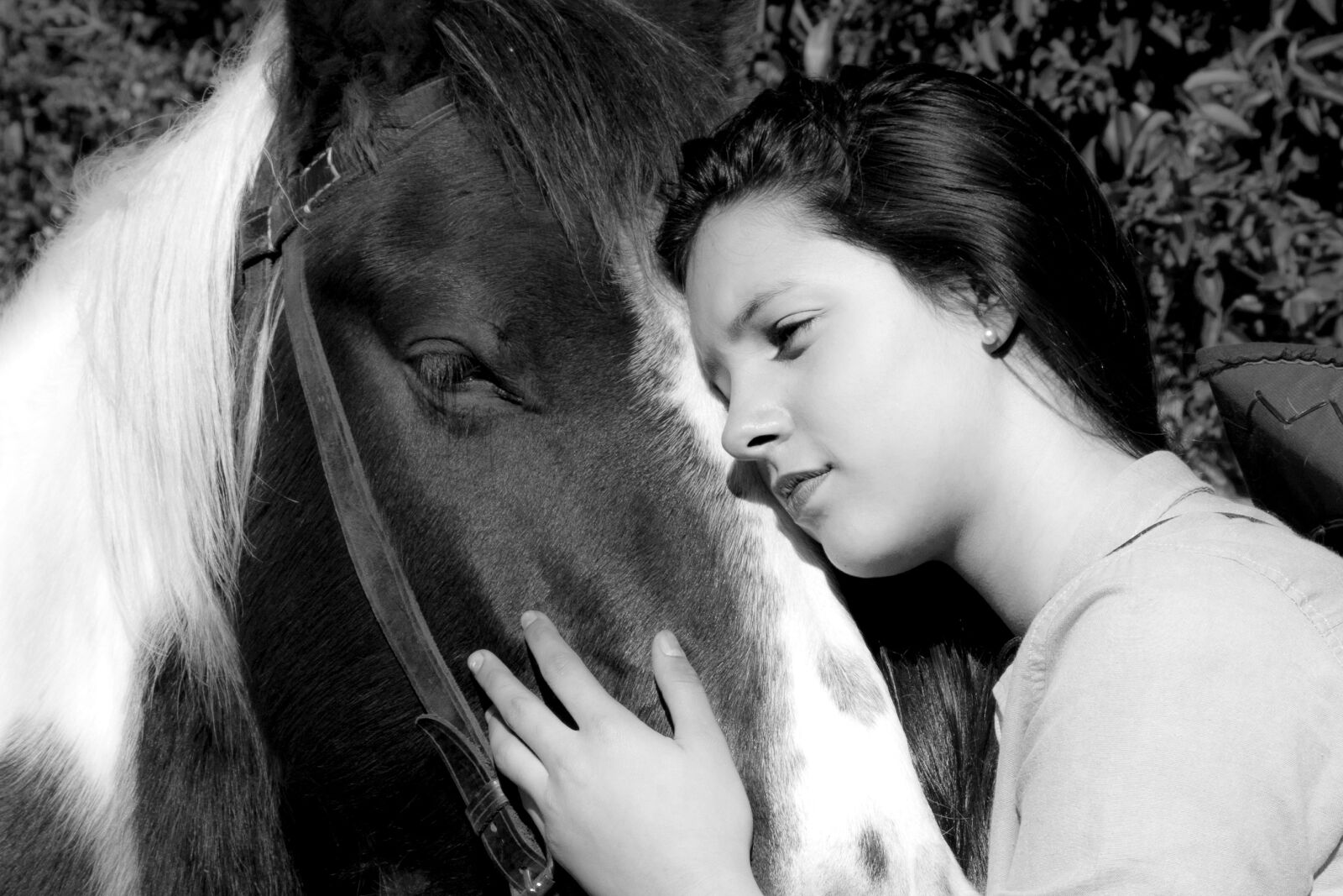 Nikon D7100 sample photo. Horse, woman horse, rural photography
