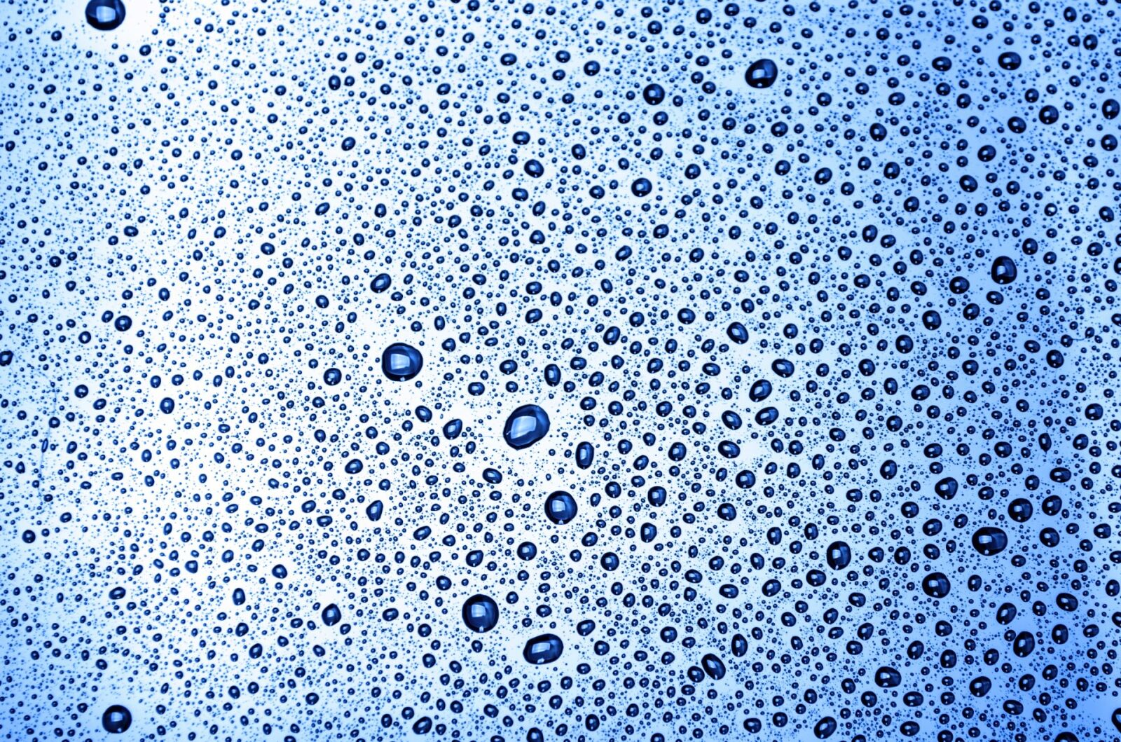 Nikon D5100 sample photo. Background, rain, surface, water photography