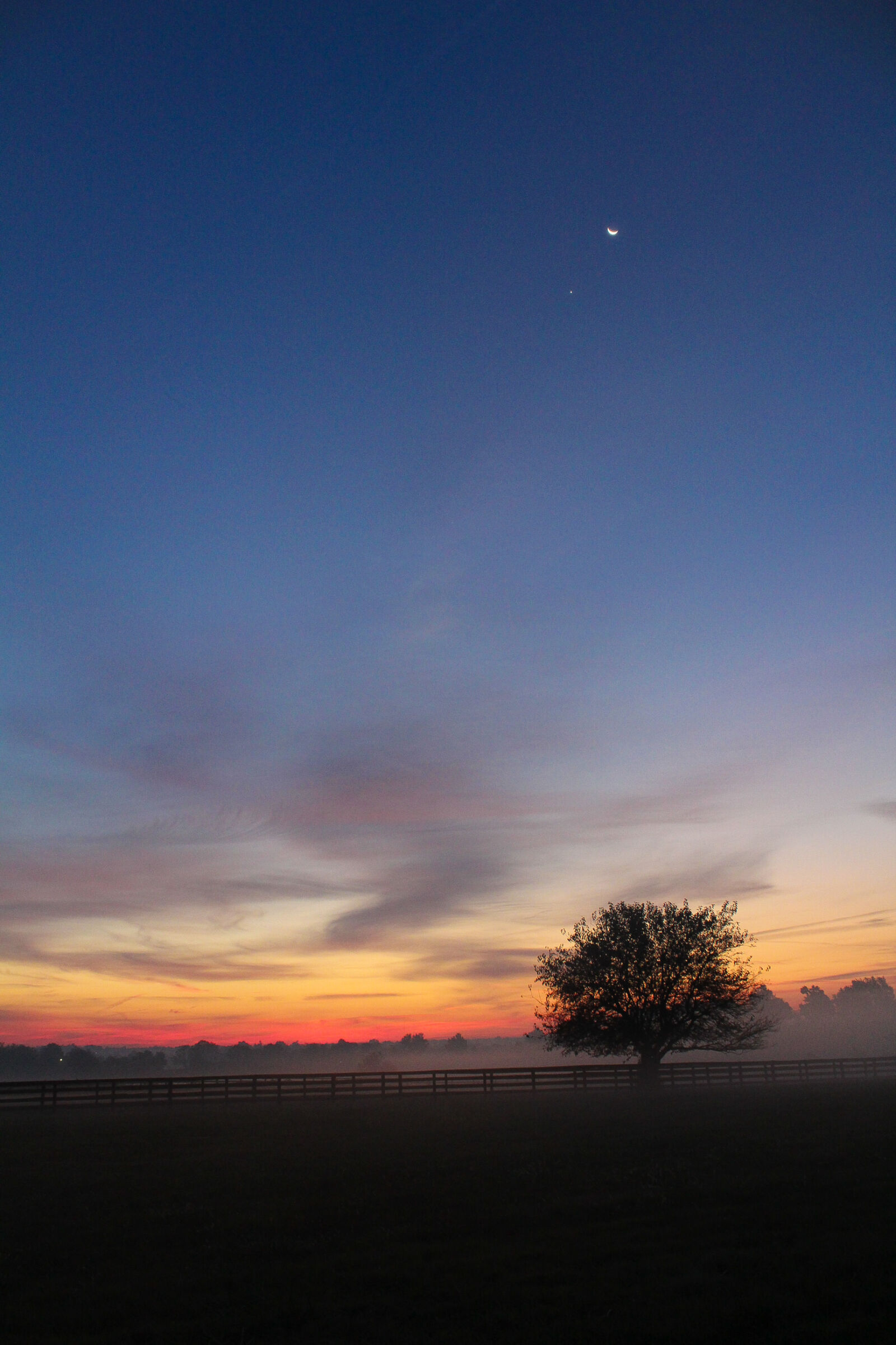 Canon EOS 1200D (EOS Rebel T5 / EOS Kiss X70 / EOS Hi) sample photo. Sunset, evening, tree, meadow photography