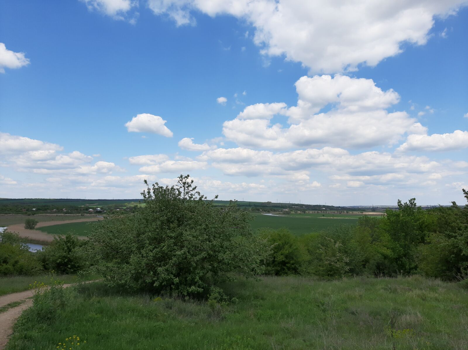 Samsung Galaxy A50 sample photo. Landscape, nature, greens photography