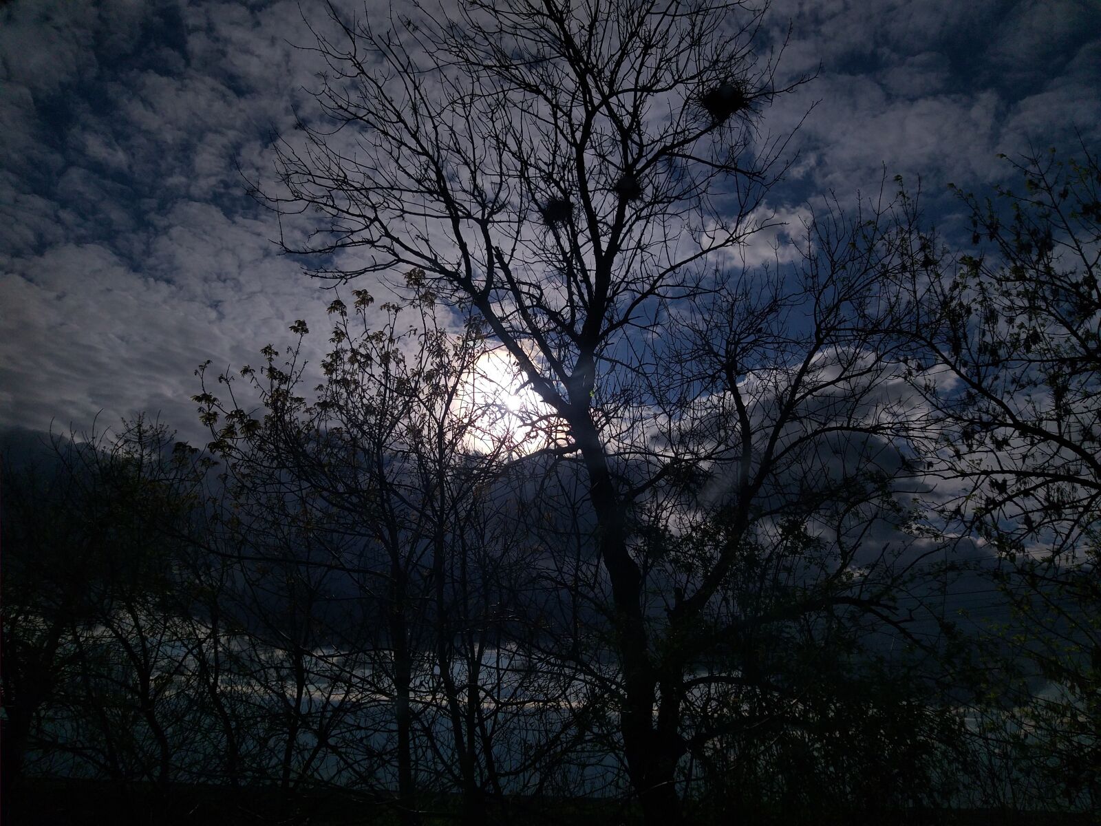 Samsung SM-A605FN sample photo. Sun, trees, travelling photography