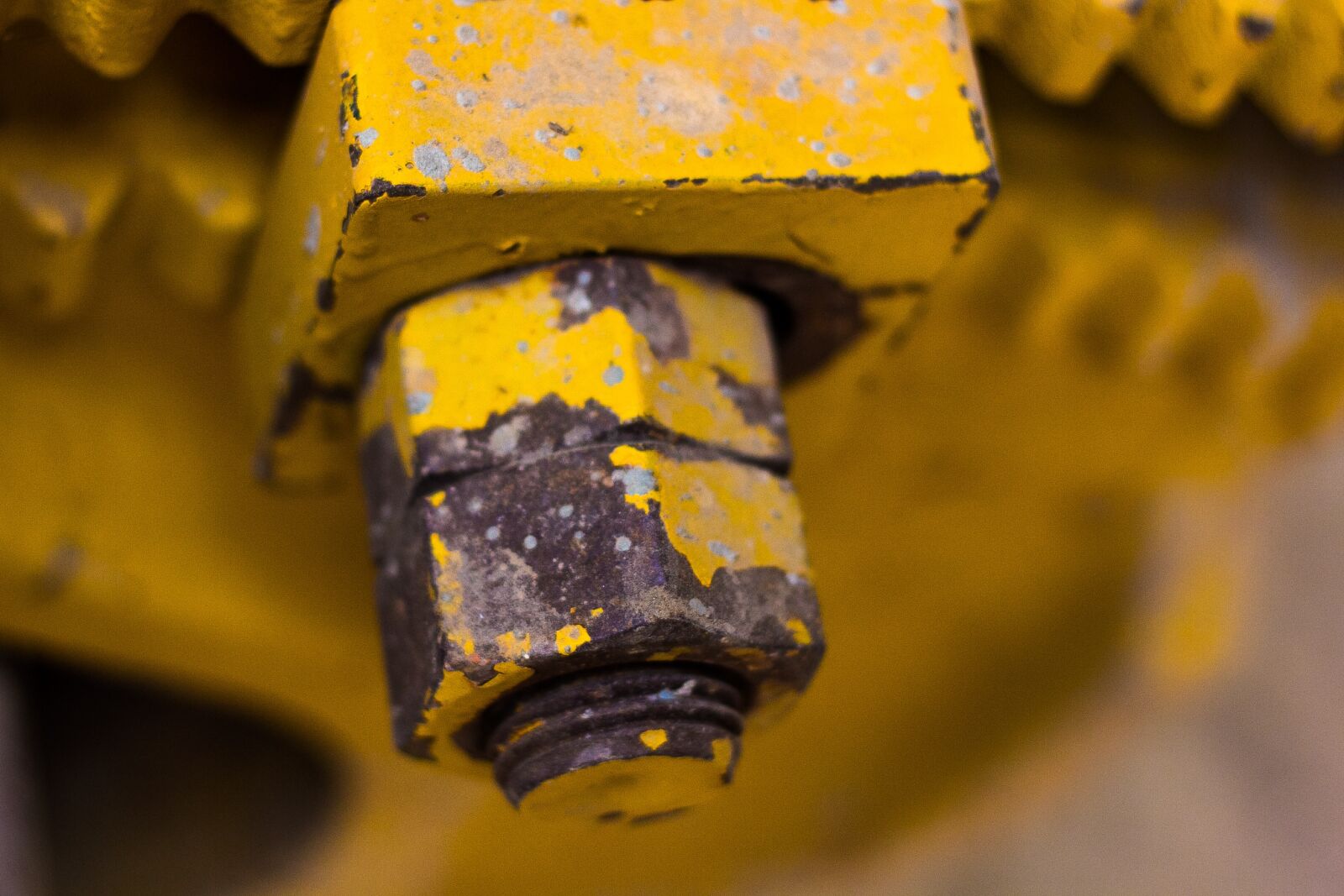 Canon EOS 60D + Canon EF 50mm F1.8 II sample photo. Nuts and bolt, nuts photography