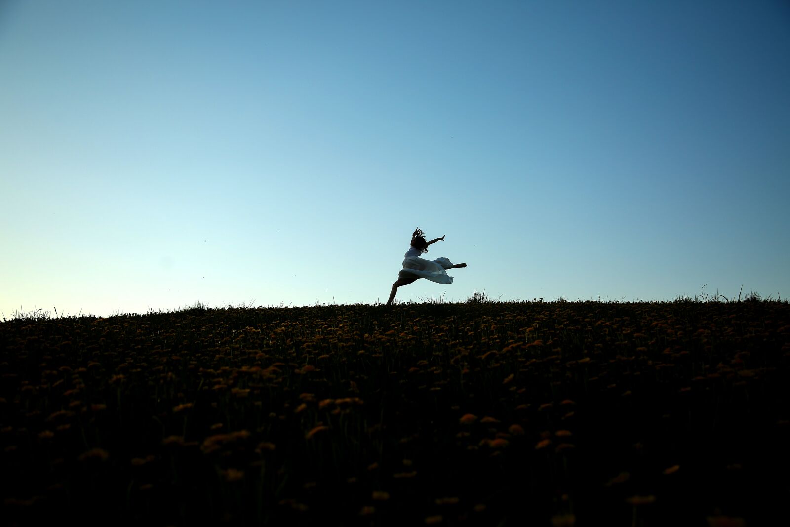 Canon EF 24-105mm F4L IS USM sample photo. Sky, cut, landscape photography