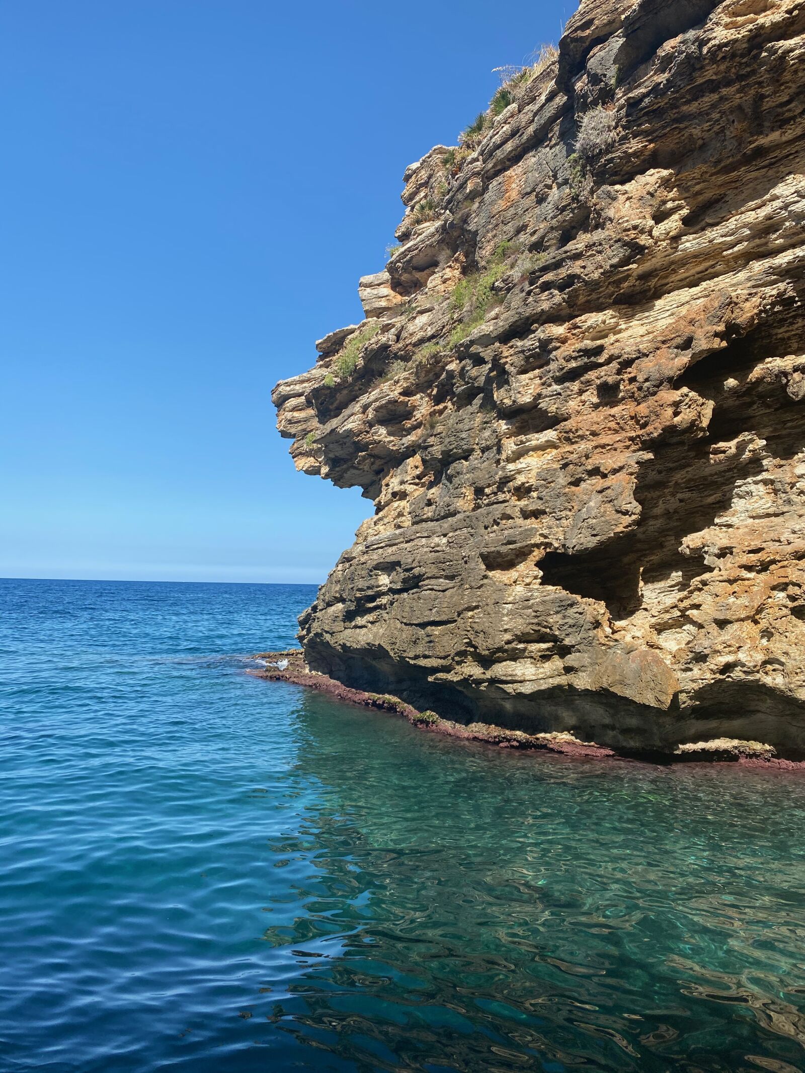 Apple iPhone 11 Pro Max sample photo