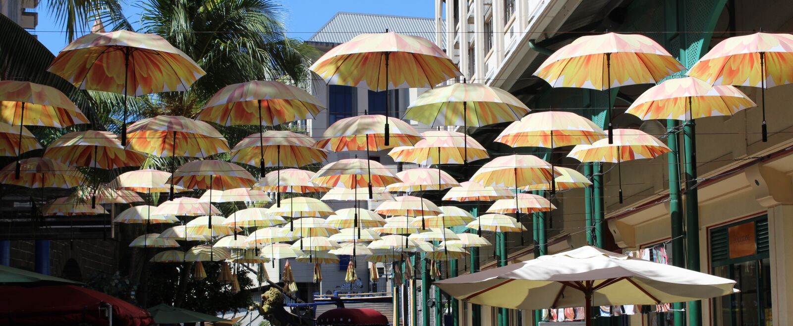 Canon EOS 1200D (EOS Rebel T5 / EOS Kiss X70 / EOS Hi) sample photo. Parasols, port louis, mauritius photography