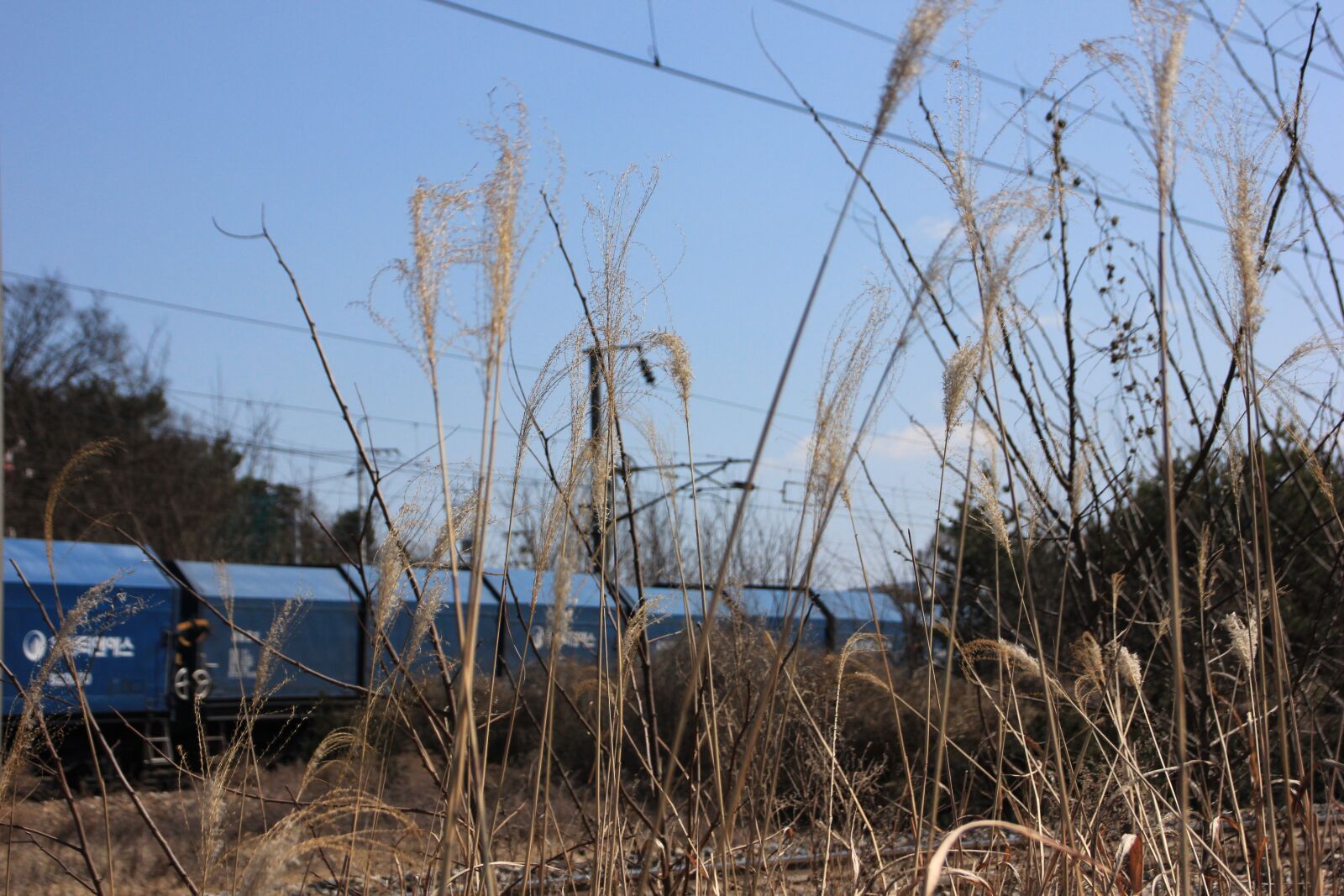 Canon EOS 600D (Rebel EOS T3i / EOS Kiss X5) sample photo. Korea, railway, transportation photography
